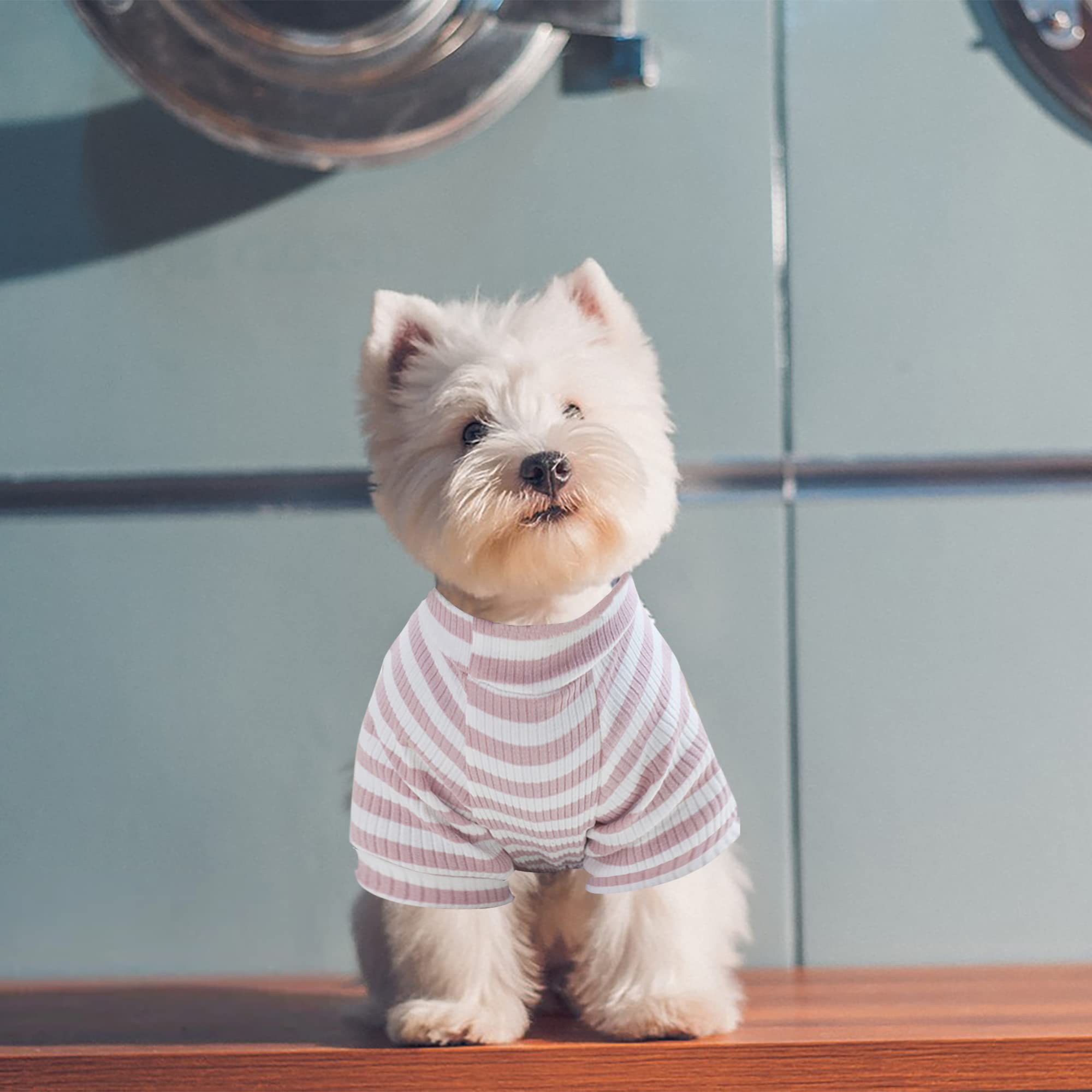 Dogs Pjs Clothes For Small Dogs Girl Puppy Pajamas Long Sleeved Onsie Warm Coats Jumpers Outfits