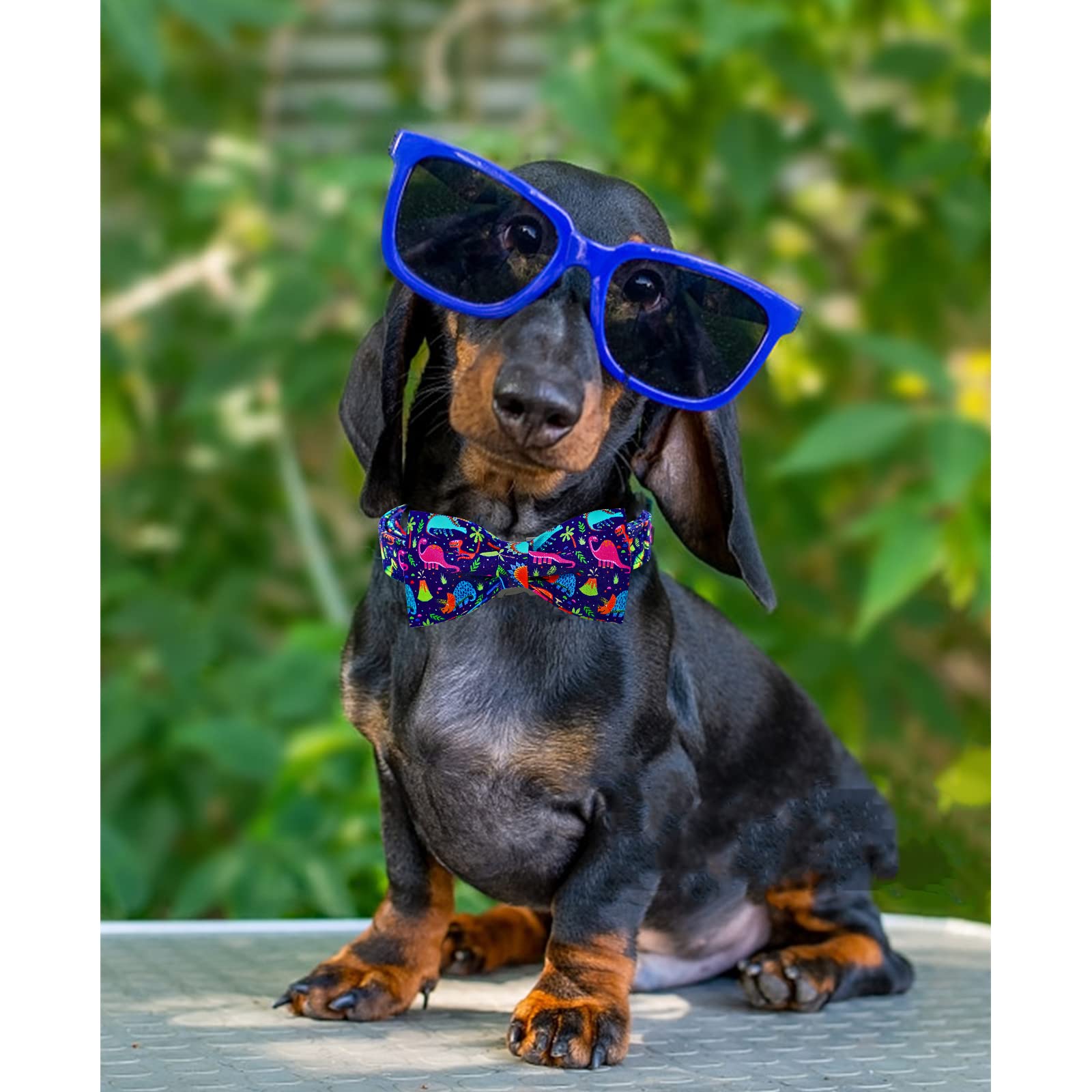 Lionheart glory Dog Collar, Blue Dog Bow Collar Boy Dog Collars with Bow Adjustable Dinosaur Bowtie Collar for Large Dogs Pet Gi