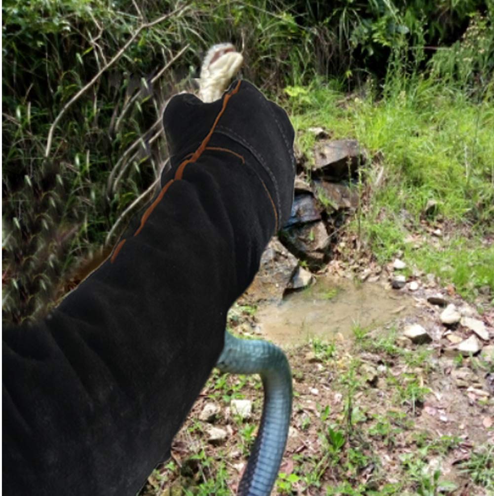 Less Bad Animal Protection Gloves Anti-Bite & Scratch Handling Gloves For Dog Cat Bird Reptile Snake (Black-1)