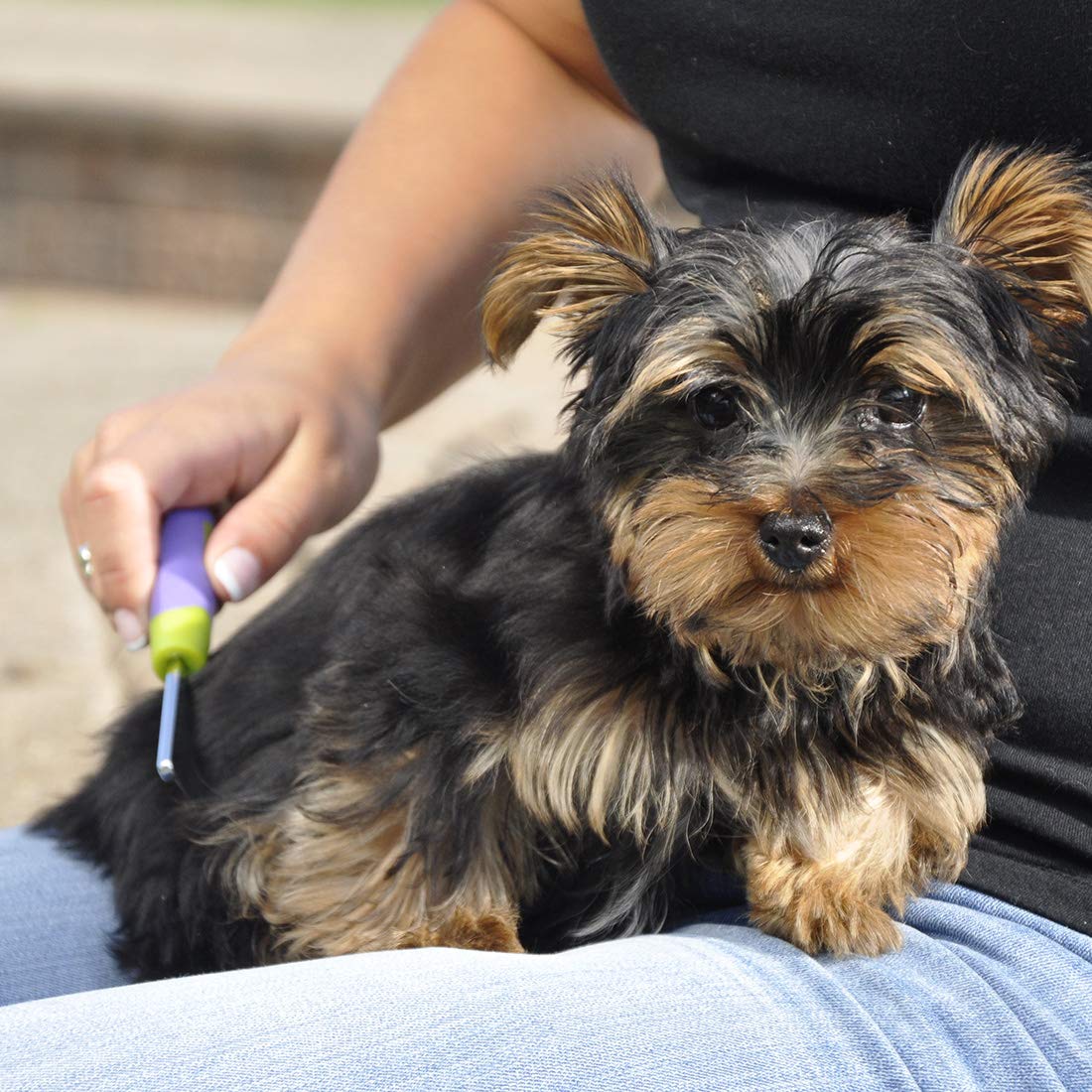 Lilpals Stainless Steel Shedding Dog Comb (1-Pack), Green, Xs, Model Number: W6201