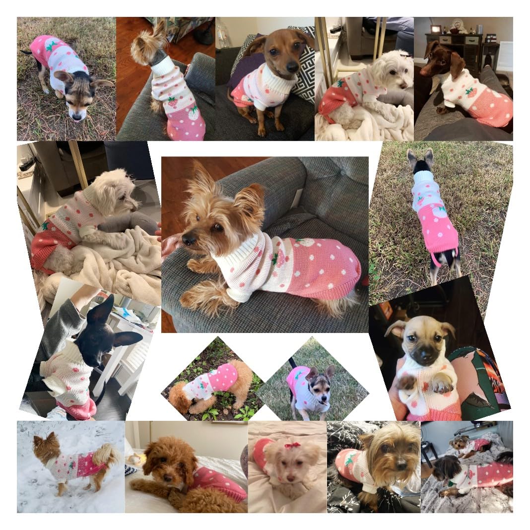 Chborchicen Pet Dog Sweaters Classic Knitwear Turtleneck Winter Warm Puppy Clothing Cute Strawberry And Heart Doggie Sweater (Pi
