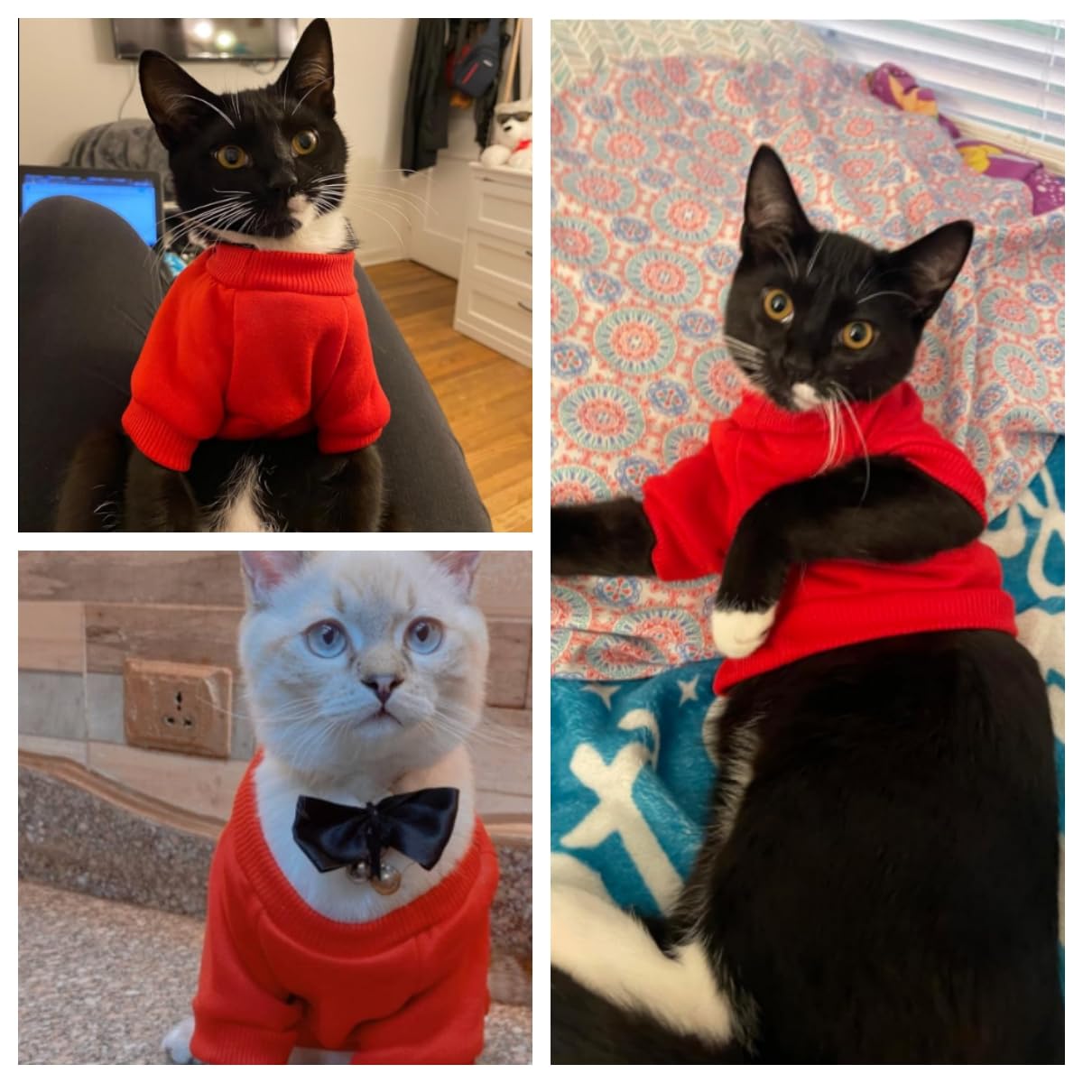 2Pc Pet Sweaters For Hairless Cats & Small Dogs - Cotton Pullover Shirts With Sleeves (Red & Pink, Large)