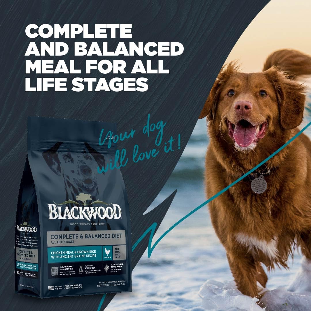 Blackwood Complete & Balanced Dry Dog Food, Chicken Meal & Brown Rice, 24 lb Bag with Ancient Grains
