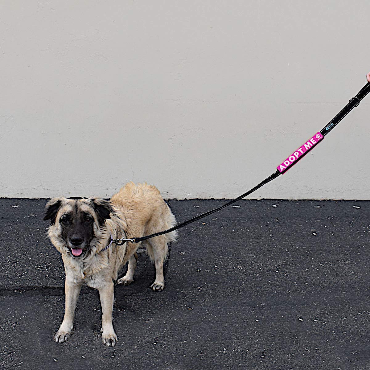 Max and Neo Leash Sleeves Adopt ME - We Donate 1 for 1 to Dog Rescues for Every Product Sold (Pink/Double)