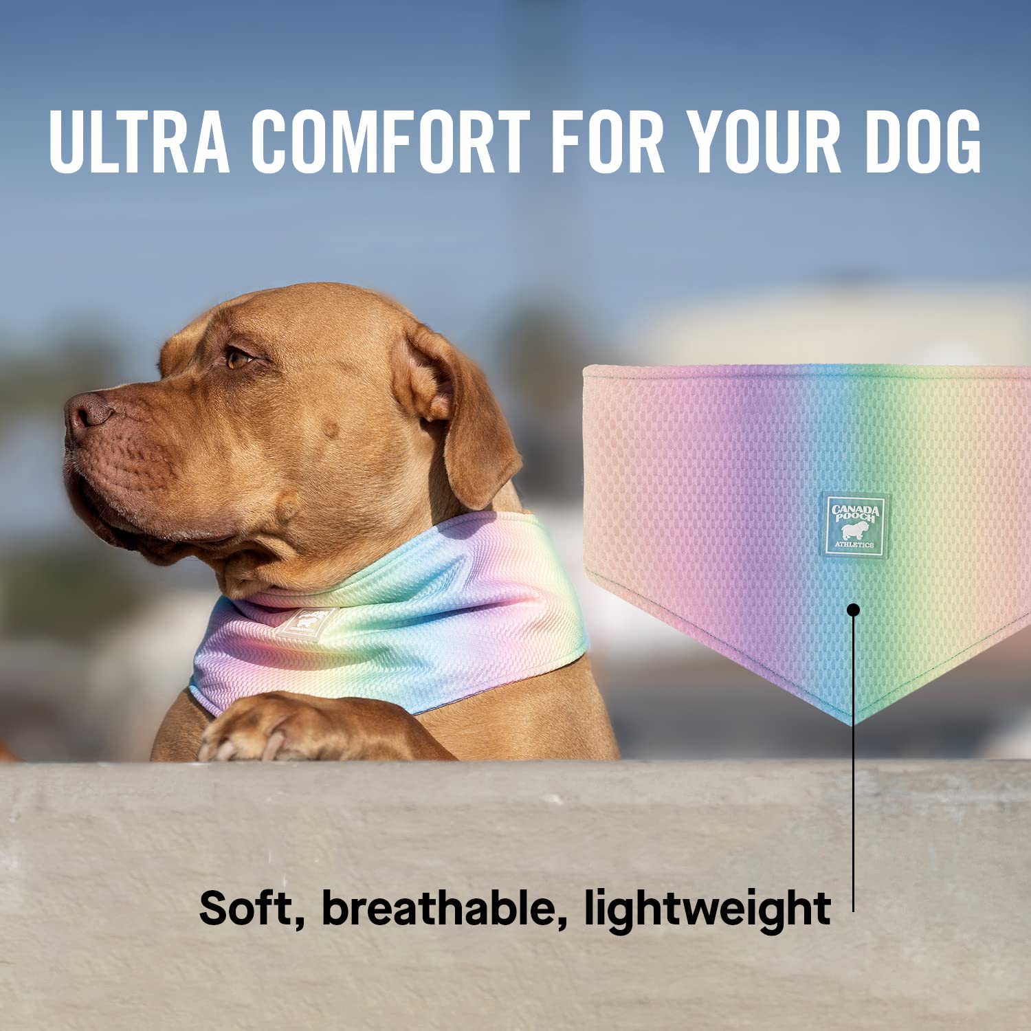 Canada Pooch Cooling Bandana For Dogs - Evaporative Cooling Dog Bandana With Breathable Mesh Material For Hot Days, Adjustable D