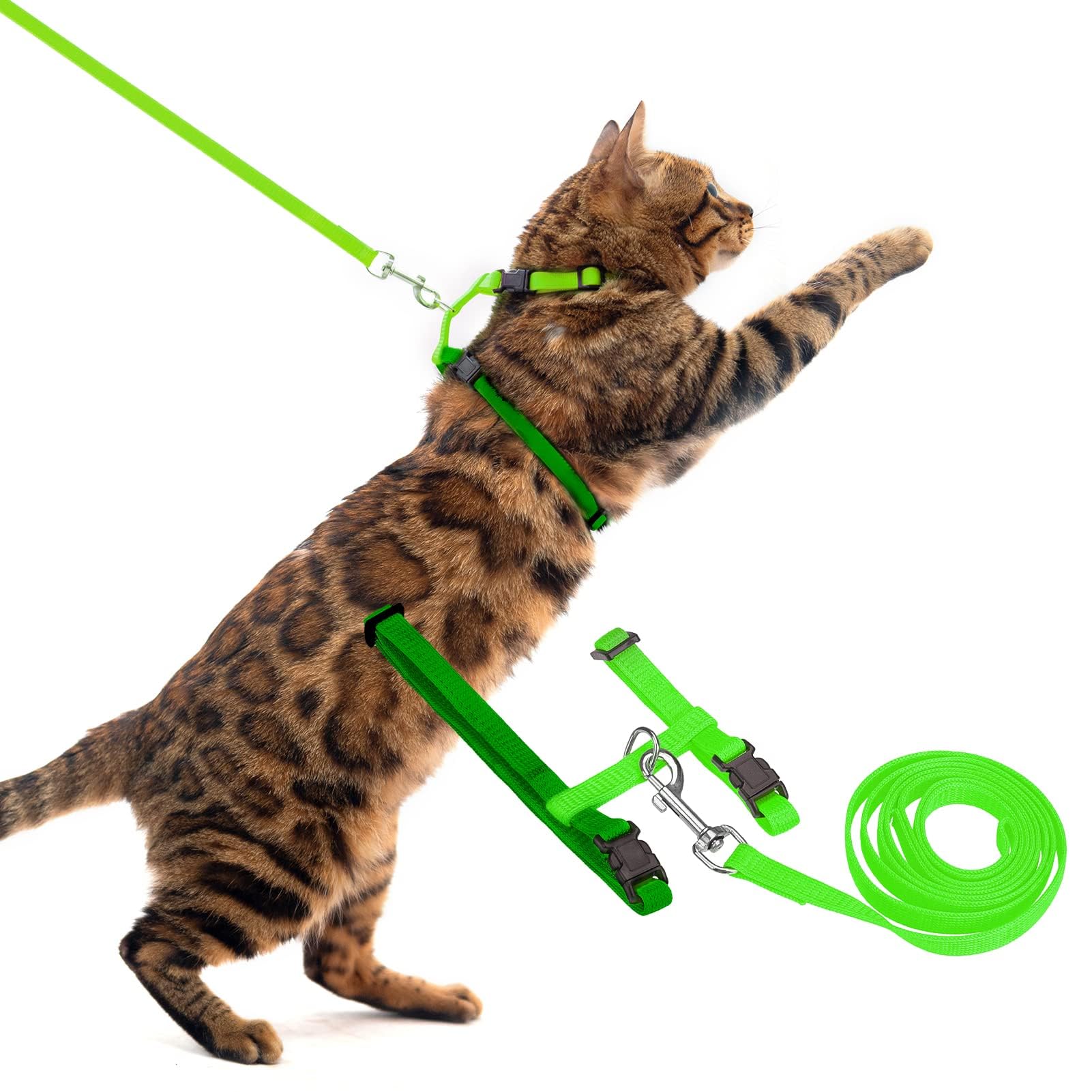 Pupteck Adjustable Cat Harness And Leash Set Escape Proof Kitten Strap Collar For Walking Travel, Green, M