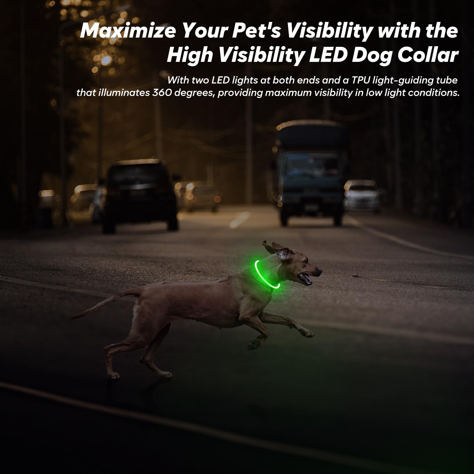 Bseen Light Up Dog Collar, Rechargeable Led Pet Collar Tpu Cuttable Lighted Puppy Necklace Glowing Dog Lights For Night Walking (Green)