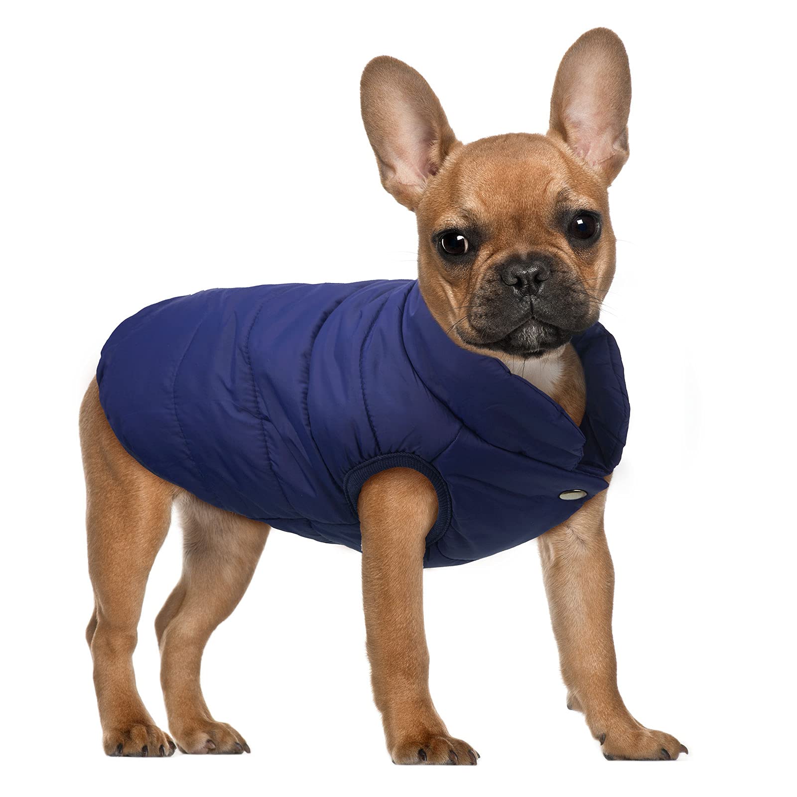2 Pieces Pet Dog Jacket 2 Layers Fleece Lined Warm Dog Jacket Soft Windproof Small Dog Coat For Winter Cold Weather (M)