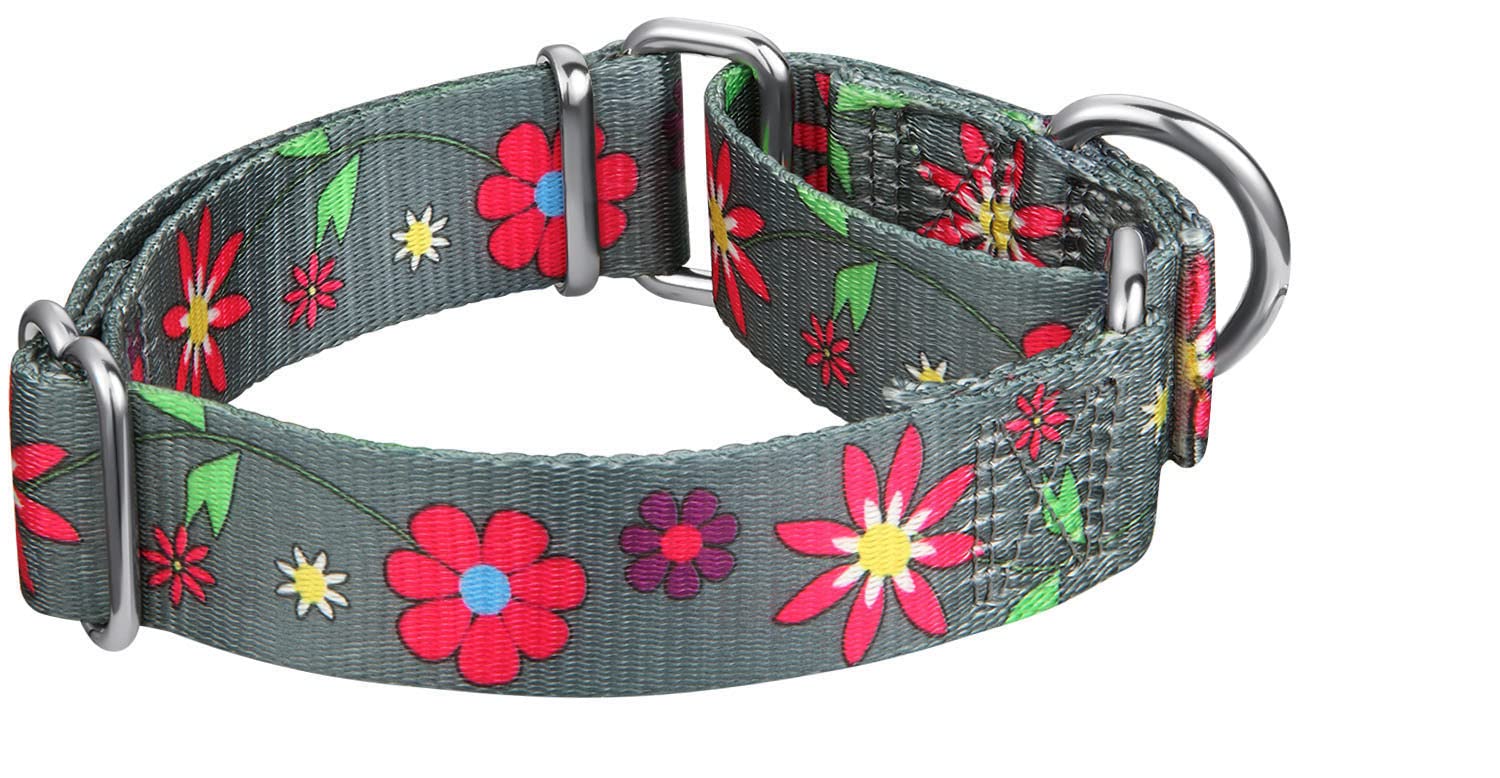 Martingale Collar Floral Print Dog Collar - Dazzber No Pull Pet Collar, Heavy Duty Adjustable Dog Collar, Large, Neck 17 Inch -25 Inch, Sun Flower (Graphite Grey)