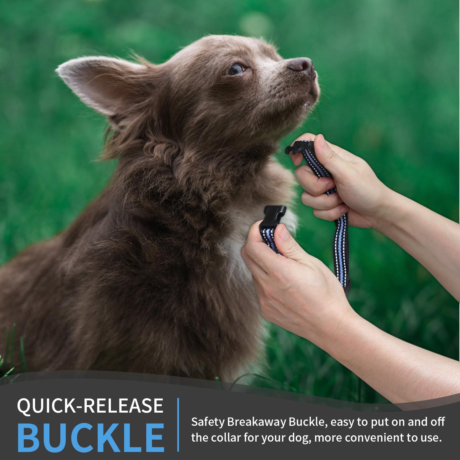 Peture Modern Stylish 3/4'' E Collar Replacement Strap With Quick Release, Adjustable For Small To Large Dogs, Replacement For S