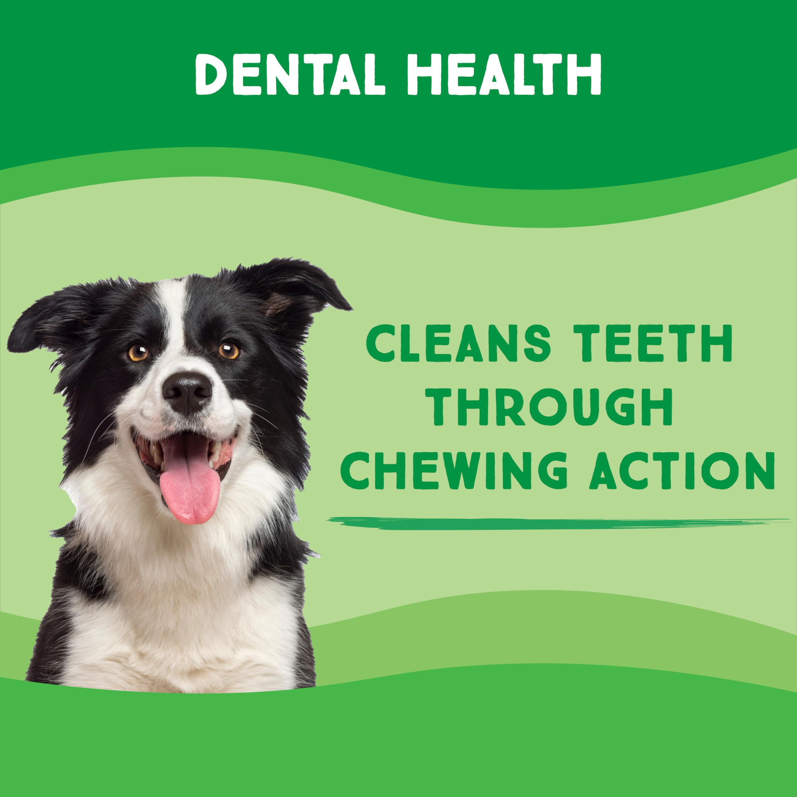 GreenCow Rawhide Chips 3-Pound Bag - Premium Large Dog Rawhide Chews - Ideal for Agressive Chewers Dog Rawhide Treats - Durable