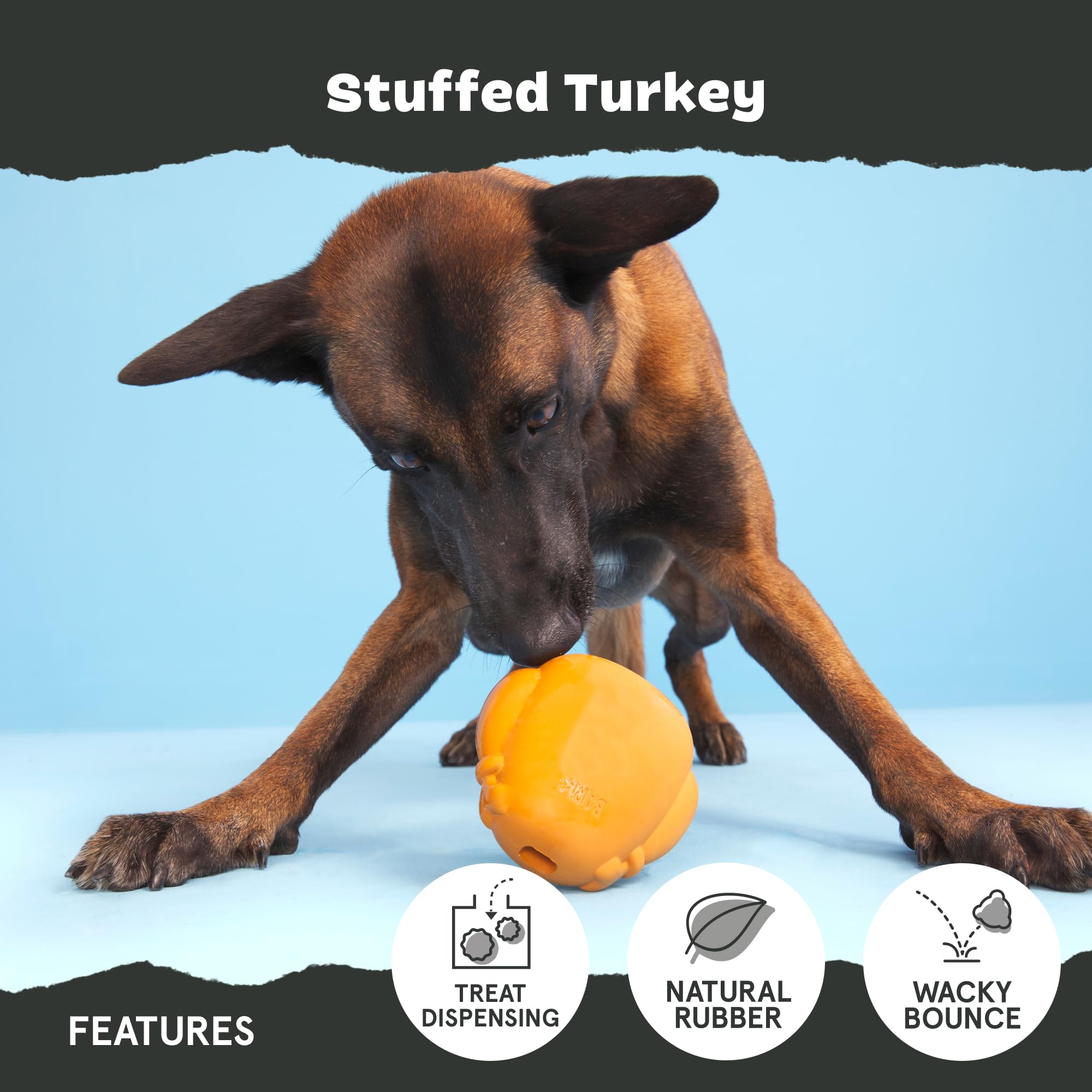 Barkbox Bark Stuffed Turkey Dog Toy | Natural Rubber, Treat Dispensing, Perfect For Peanut Butter | Dog Toy For Aggressive Chewe