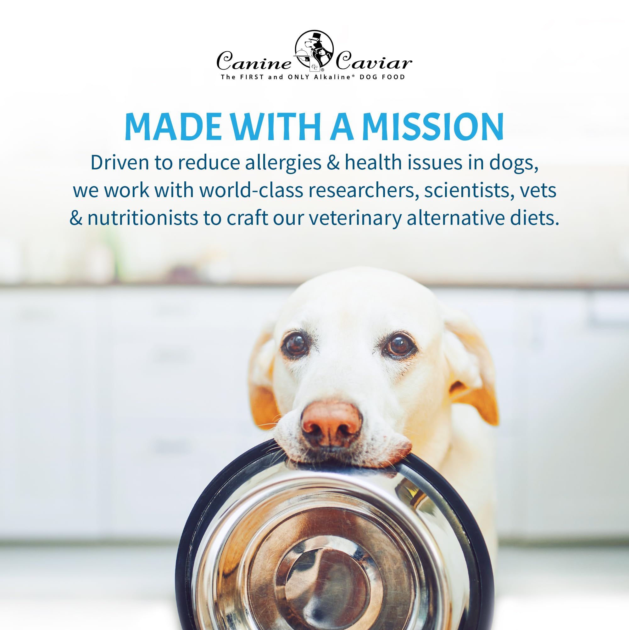 Canine Caviar Alkaline Dry Dog Food - Water Buffalo & Chickpea, Gluten-Free, 22 lb