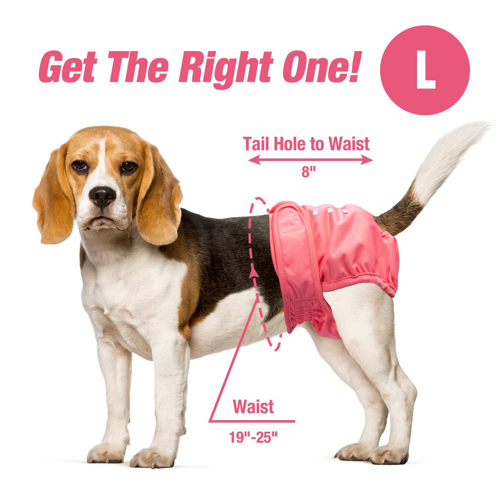 Pet Soft Washable Female Diapers (3 Pack) Female Dog Diapers, Comfort Reusable Doggy Diapers For Girl Dog In Period Heat (Sprigh