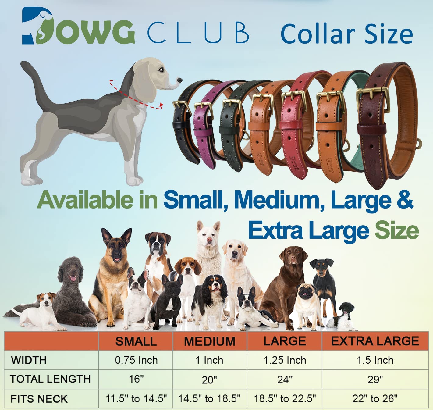 DowgClub | Genuine Leather Dog Collar | Full Grain, Heavy Duty | Padded, Comfortable, Strong | Best for Pups, Small, Medium, Lar