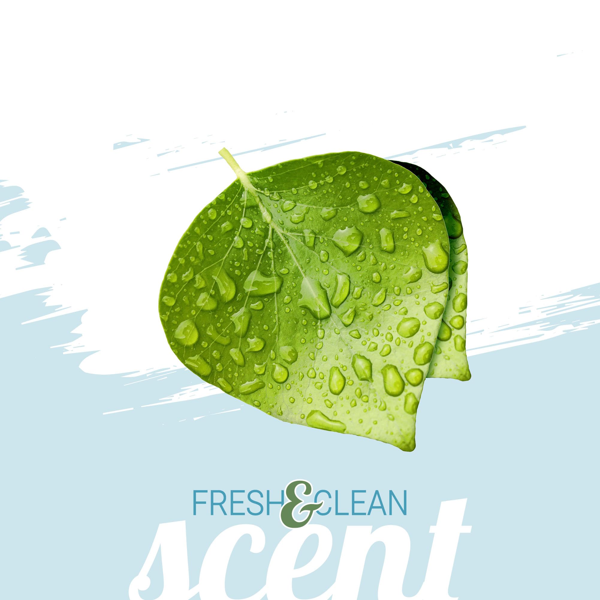 Green Groom Odor Eliminator Dog Shampoo, 1 Gallon - Crafted With Odortrol, All Natural Ingredients, Antioxidant Rich, Eliminates Smelly Pet Odors, Powerful Deodorizing Formula, Professional Grade