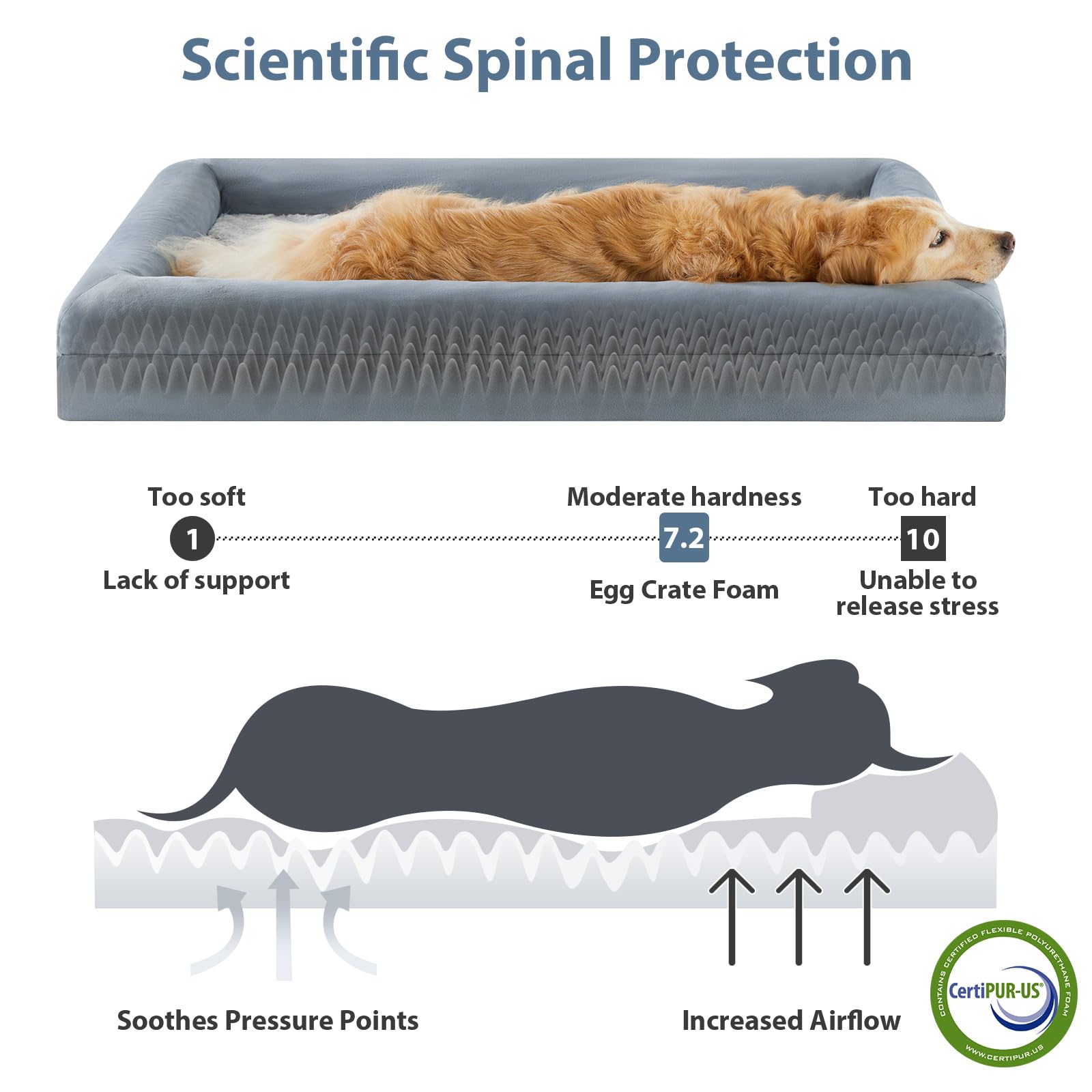 Wnpethome Xl Washable Dog Couch - Orthopedic Sofa With Removable & Waterproof Cover, Bolster Sides For Sleeping, Extra Large For