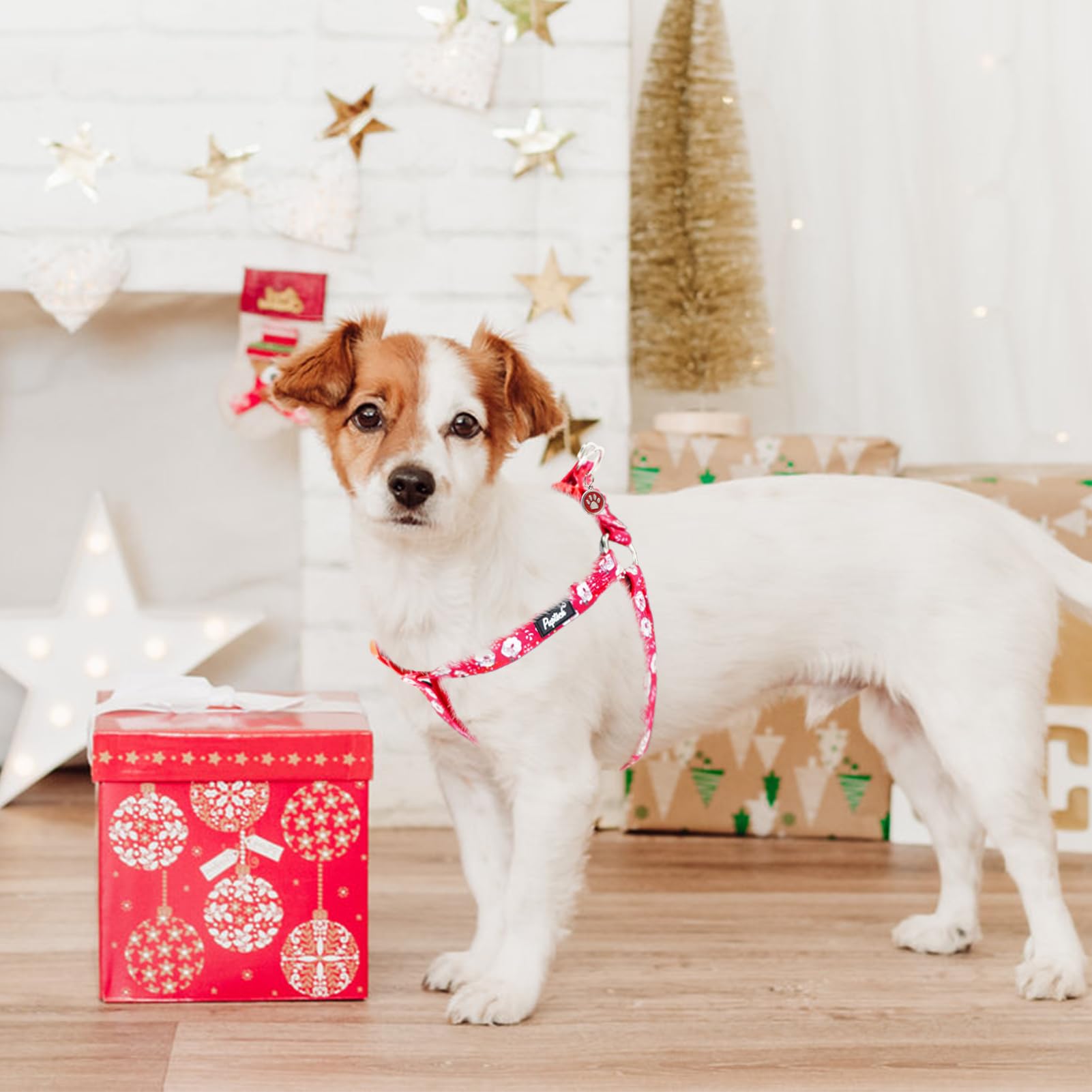 Pupteck No Pull Dog Harness Soft Adjustable Basic Nylon Step In Puppy Vest Outdoor Walking With Id Tag, Christmas, M