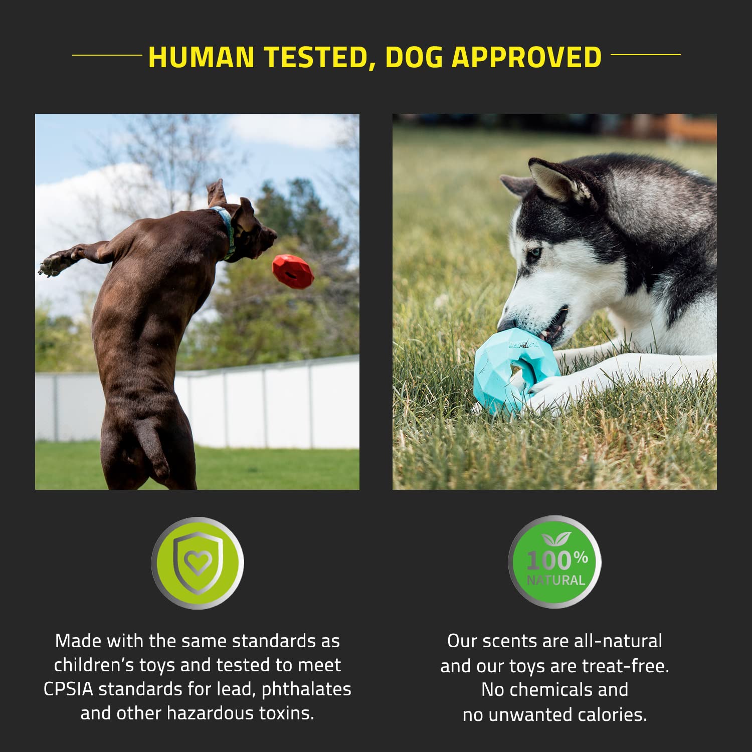 Playology Dual Layer Bone Toy - Engaging All Natural Cheddar Cheese Scented Dog Toy, Large - Chew, Toss, Fetch, And Play!