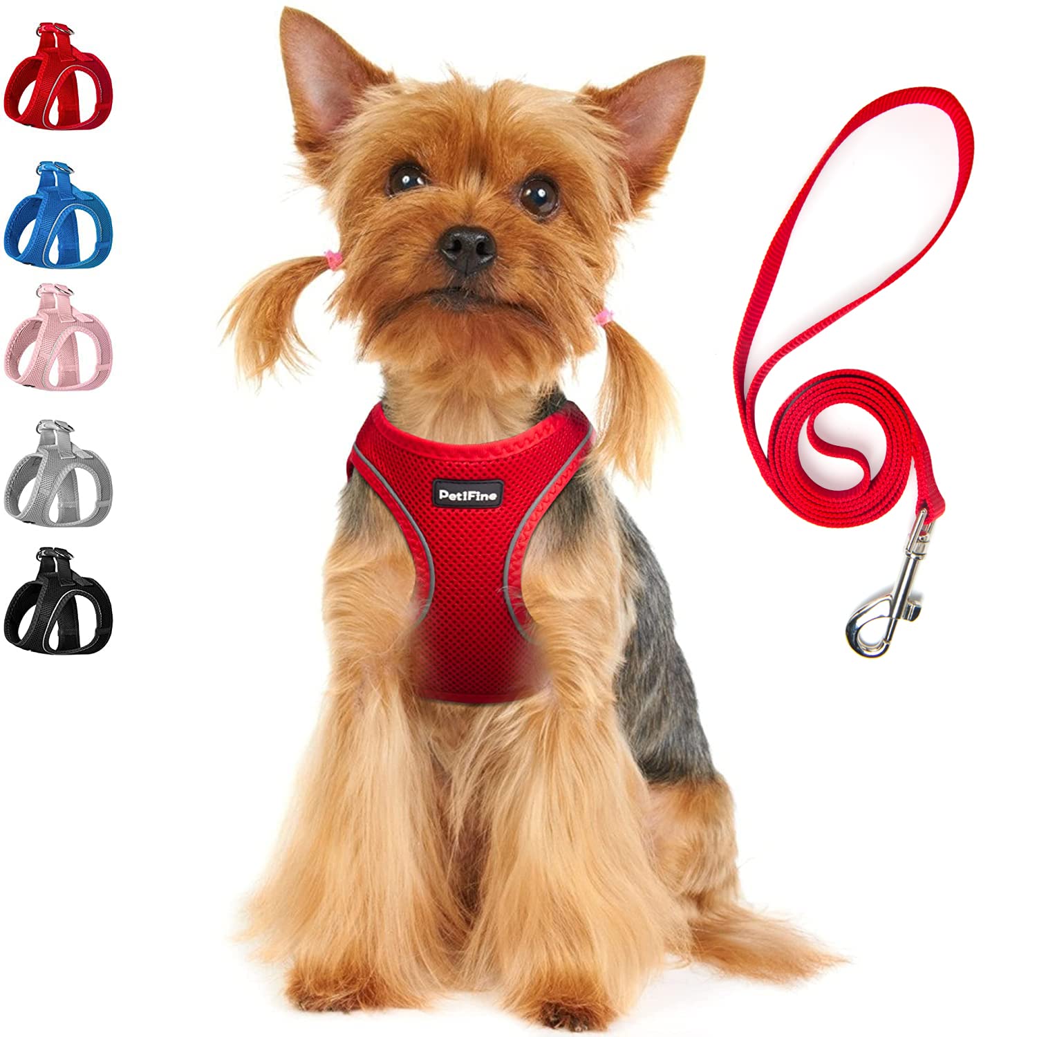 Petifine Extra Small Step In Dog Harness And Leash Set, Cat Harness And Leash Escape Proof, All Weather Mesh Reflective, Step-In Air Vest Harnesses For Puppy(Xxxs, Red)