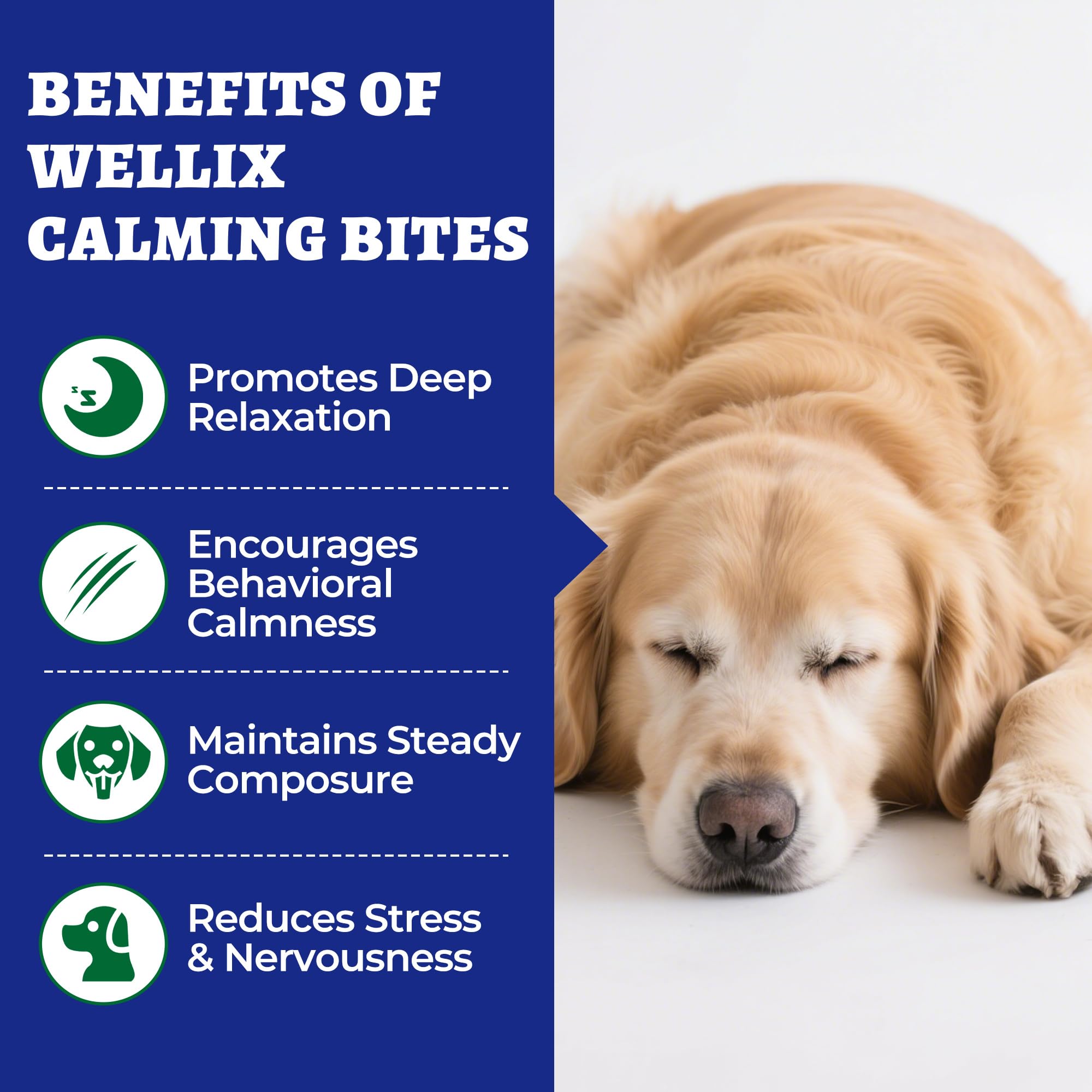 260 Bites Wellix Calming Chews for Dogs - Melatonin, L-Theanine, and Valerian Root - Calming Dog & Puppy, Relaxation, Thunder, F