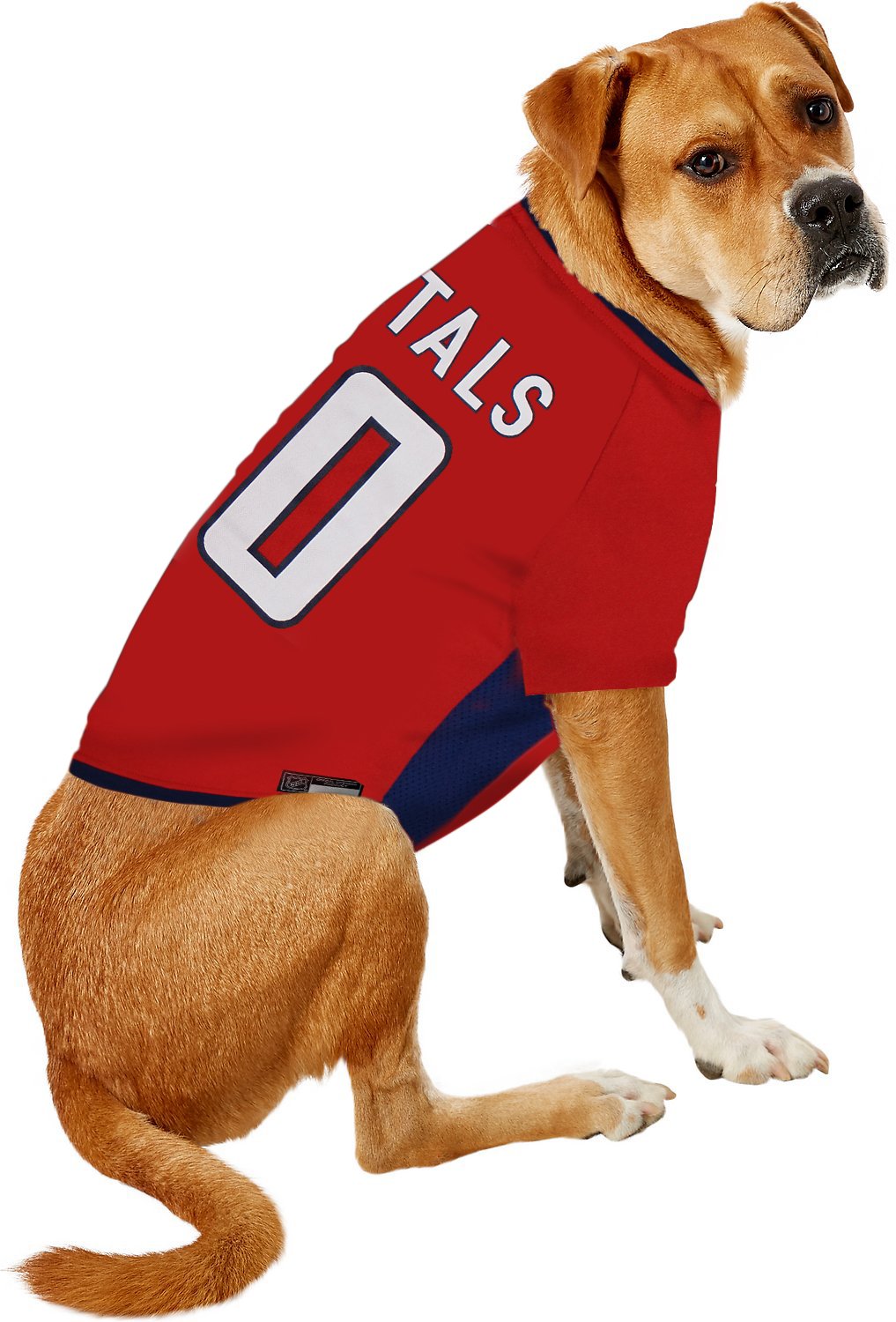 NHL Washington Capitals Jersey for Dogs & Cats, X-Small. - Let Your Pet Be A Real NHL Fan!