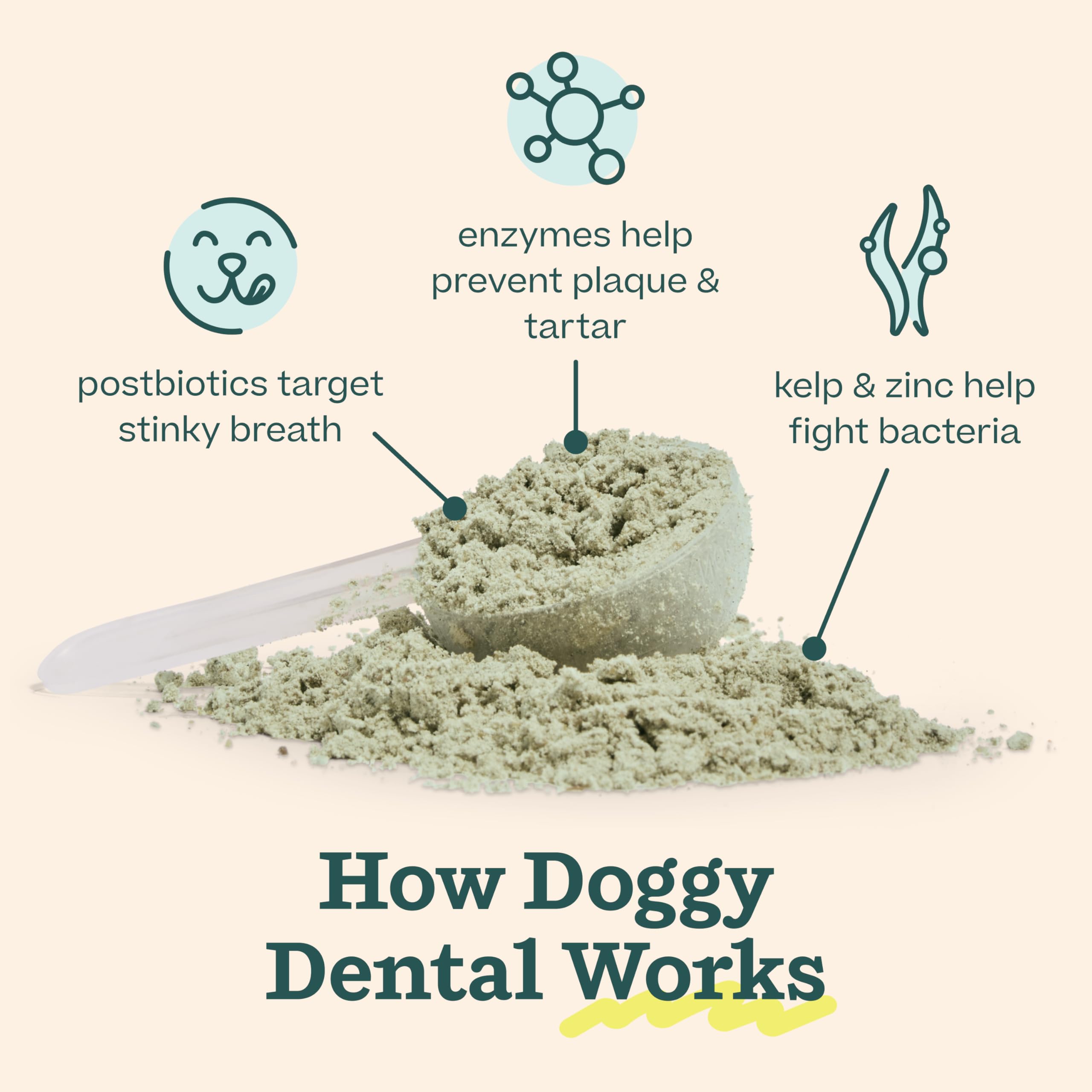 Woof Doggy Dental Pupsicle Mix - Dog Teeth Cleaning Powder for The Pupsicle - Long Lasting Postbiotic Dental Enzyme Mix to Suppo