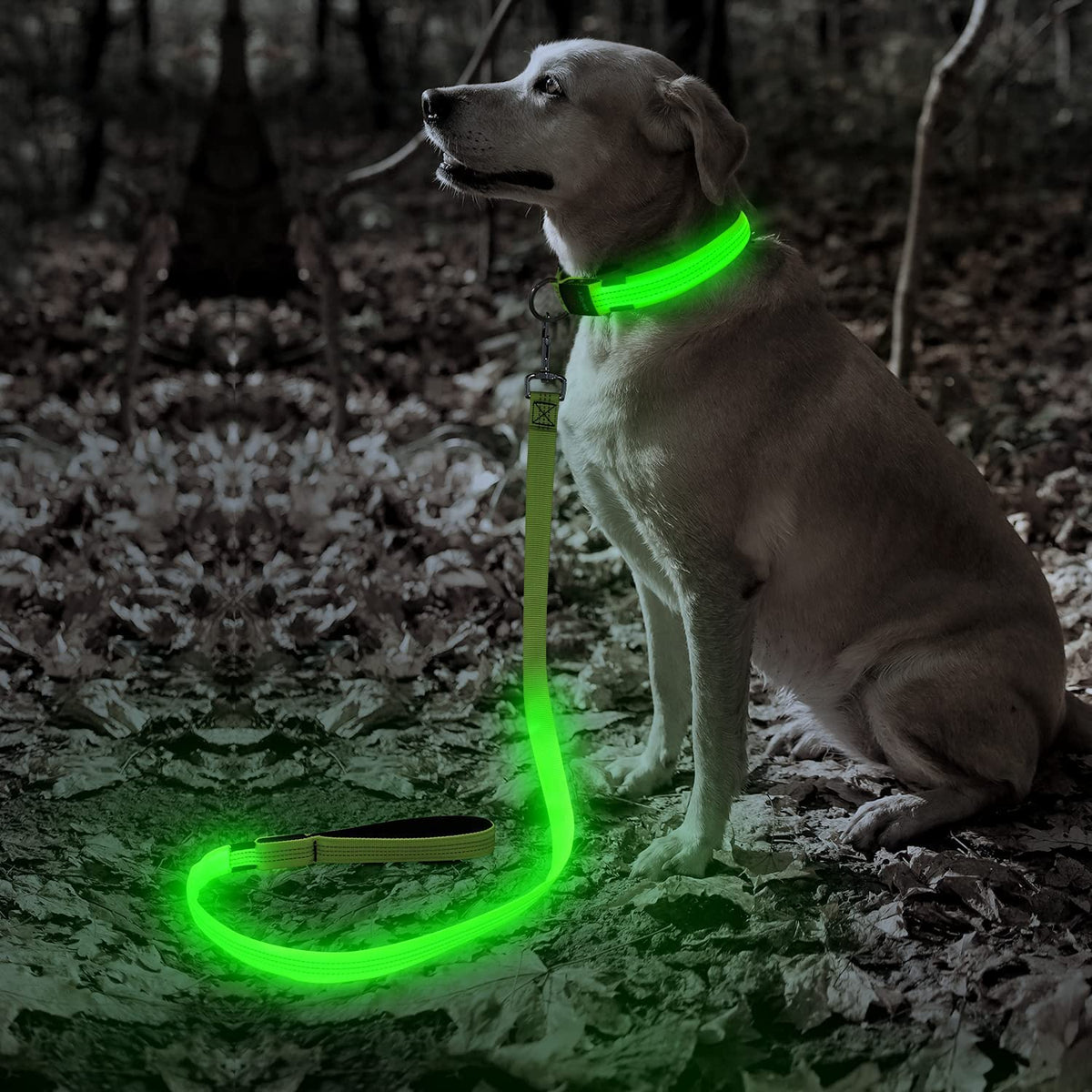 Illumifun Reflective Led Dog Leash, 47.2 Inch Water Resistant Dog Leash, Safety Flashing Dog Light Glow In The Dark (Green ?)