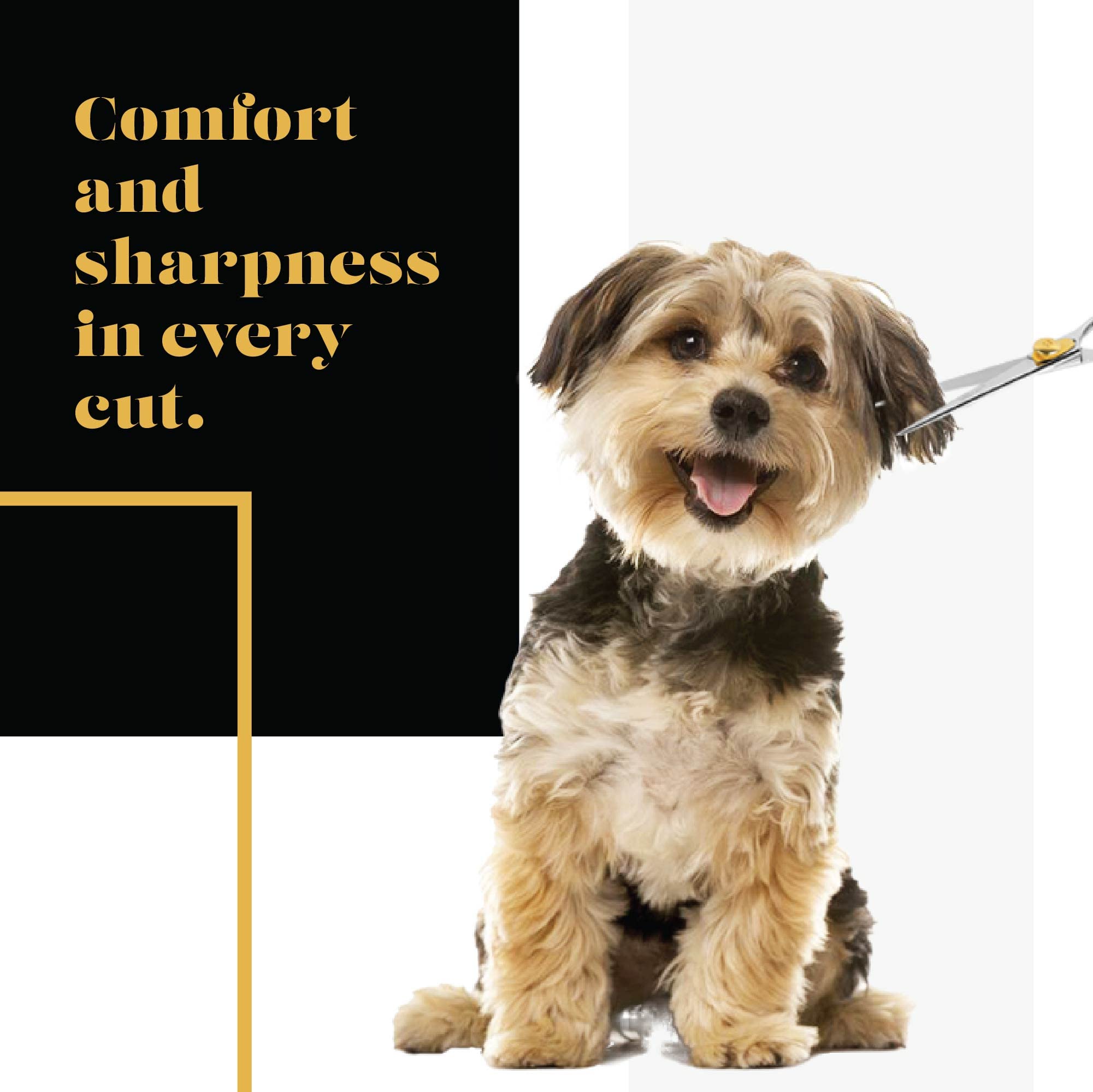 Sharf Gold Touch Pet Grooming Shear | Straight Cat & Dog Grooming Scissors | 6.5 Inch | 440C Japanese Stainless Steel Pet Dog Shearing Scissors | Animal Shears With Removable Comfort Rings