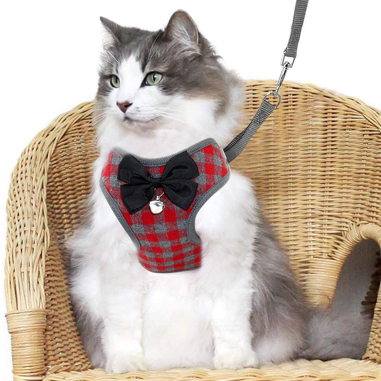 Rypet Small Dog Harness and Leash Set - No Pull Pet Harness with Soft Mesh Nylon Vest for Small Dogs and Cats Red M