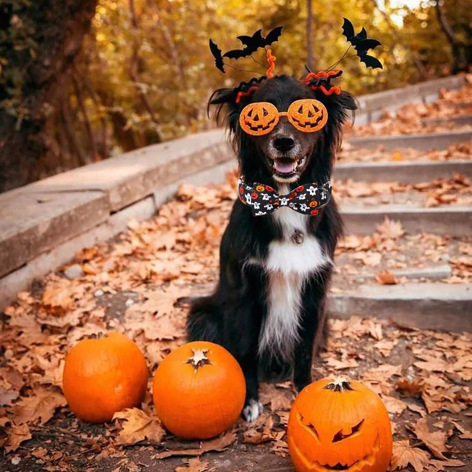 Maca Bates Halloween Dog Collar Spooky Ghost Dogs Collars With Bow Black And White Puppy Colar With Bowtie Adjustable Birthday Gift For Xs Small Medium Large Xl Girls Boys Male Female Dogs Pet