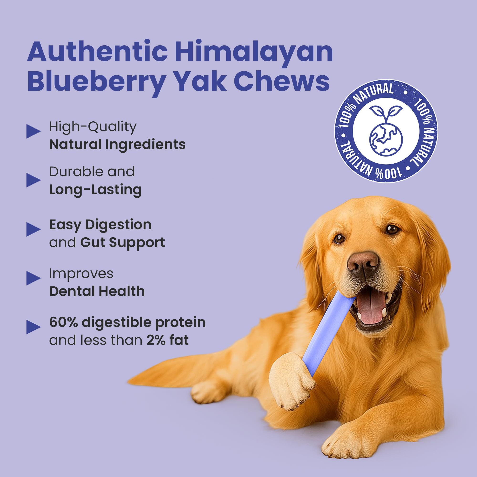 KATHMANDUS 100% Natural Blueberry Flavor Yak Chews - Keep Dogs Busy & Happy with Our Lactose & Rawhide Free Himalayan Dog Chews