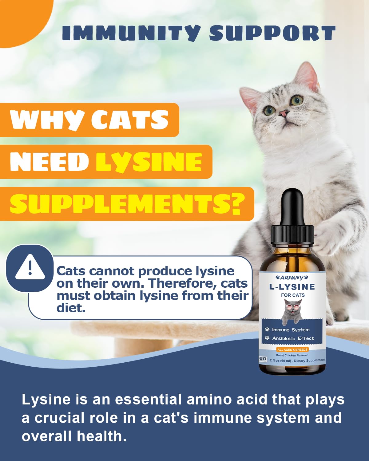 Lysine for Cats - 2 Packs Cat Lysine Drops - Sneezing Treatment, Nasal Relief - Feline Upper Respiratory Infection, Runny Nose,