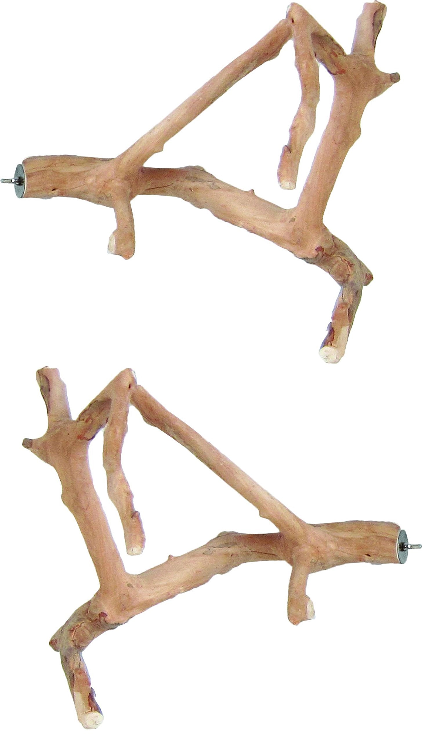 A&E Cage Company 2 Pack Of Java Wood Multi Branch Bird Perches, Small