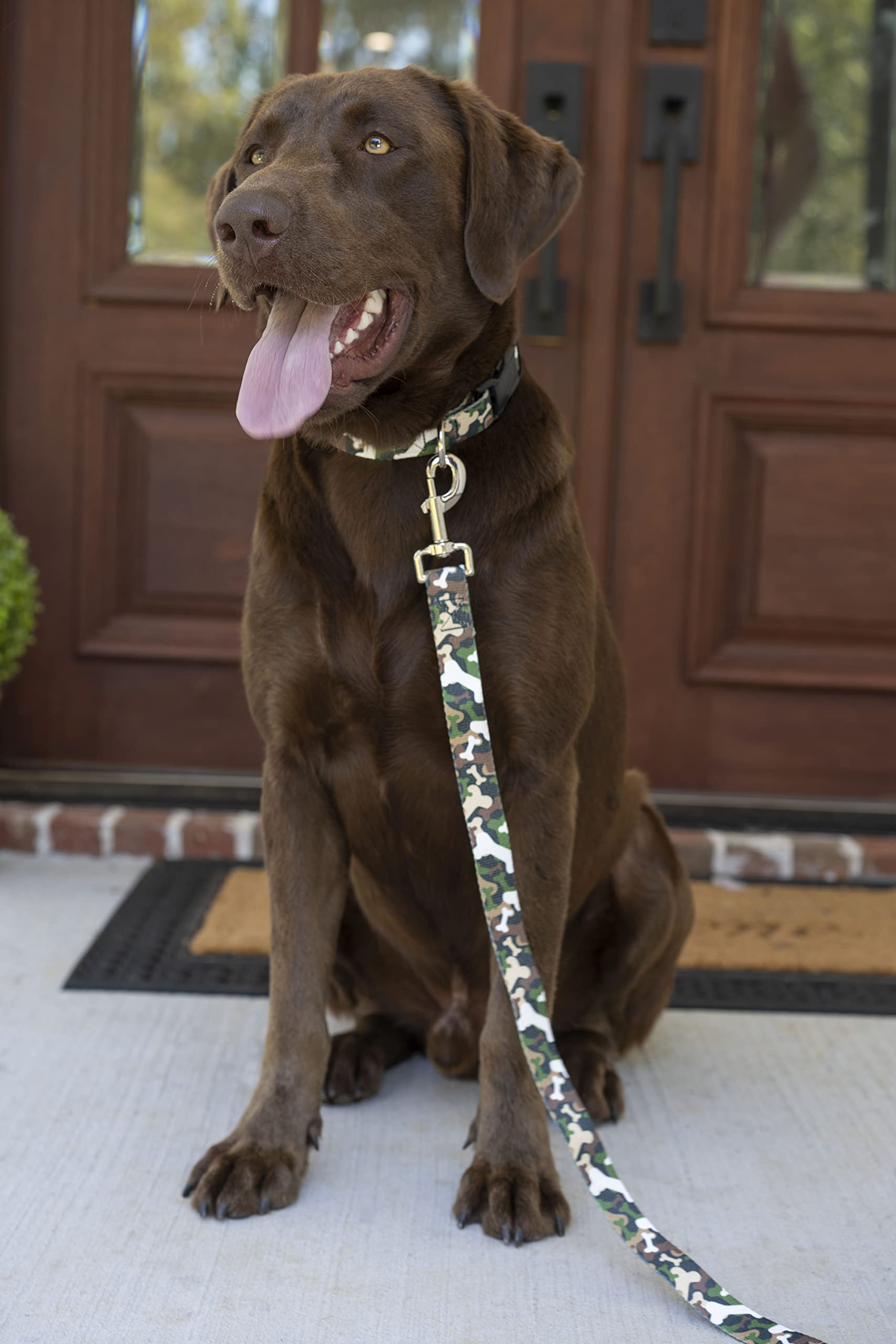 Country Brook Petz - Deluxe Woodland Bone Camo Dog Collar - Made In The U.S.A. - Camouflage Collection With 16 Rugged Designs (5/8 Inch, Small)