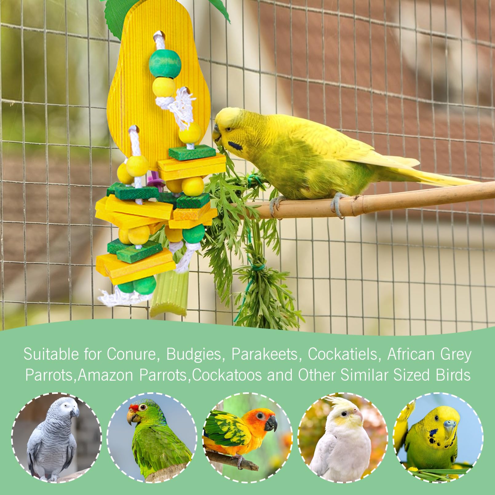 Hamiledyi Natural Wood Block Bird Cage Toys Parrot Chewing Toy Tomato&Peach&Pear&Strawberry Shaped Hanging Foraging Toy For Smal