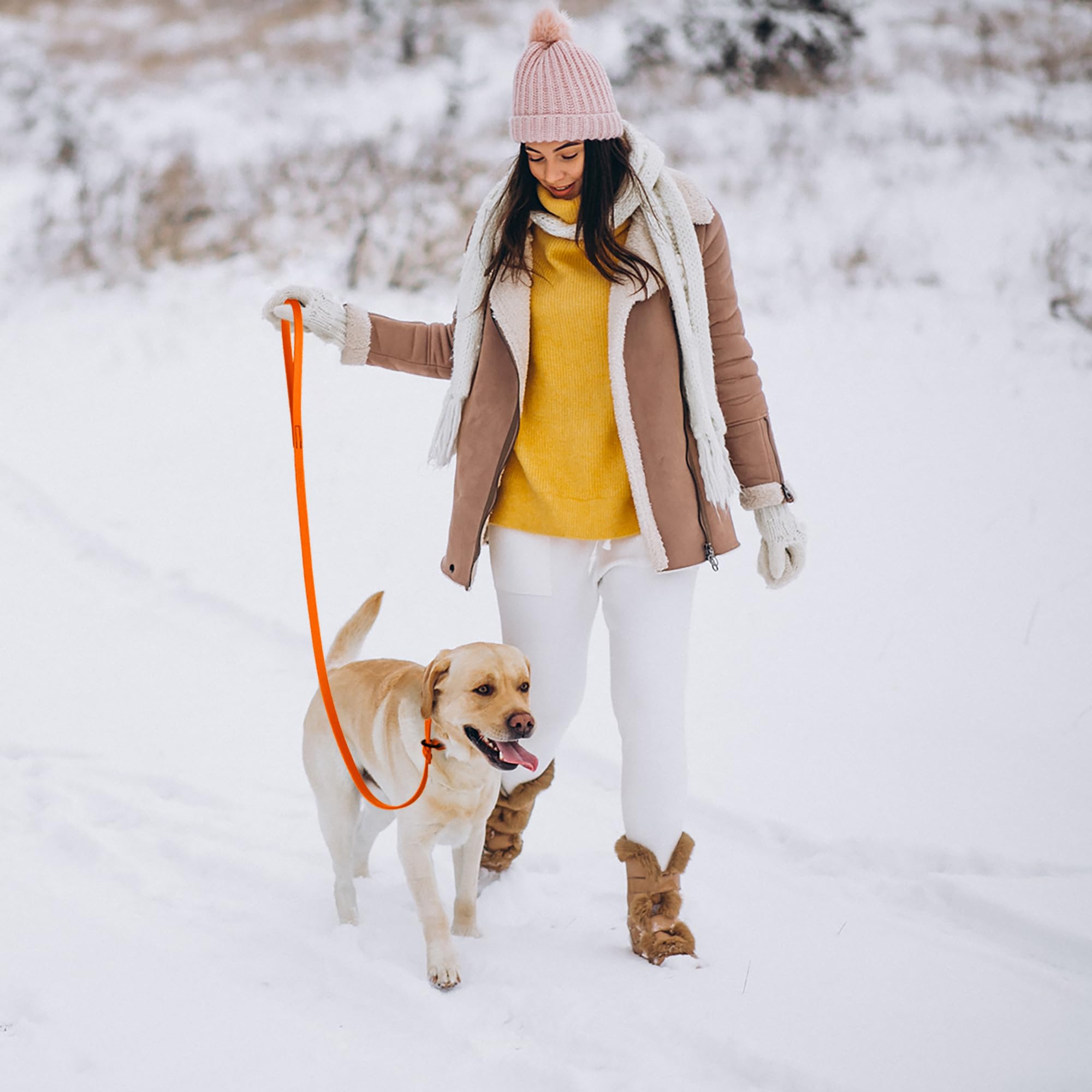 Dogline Biothane Slip Dog Leash - For Small, Medium And Large Dogs - Odor Free Slip Lead, Heavy Duty And Durable Material Kennel Lead - Hunter Orange - 5Ft L X 3/8In W