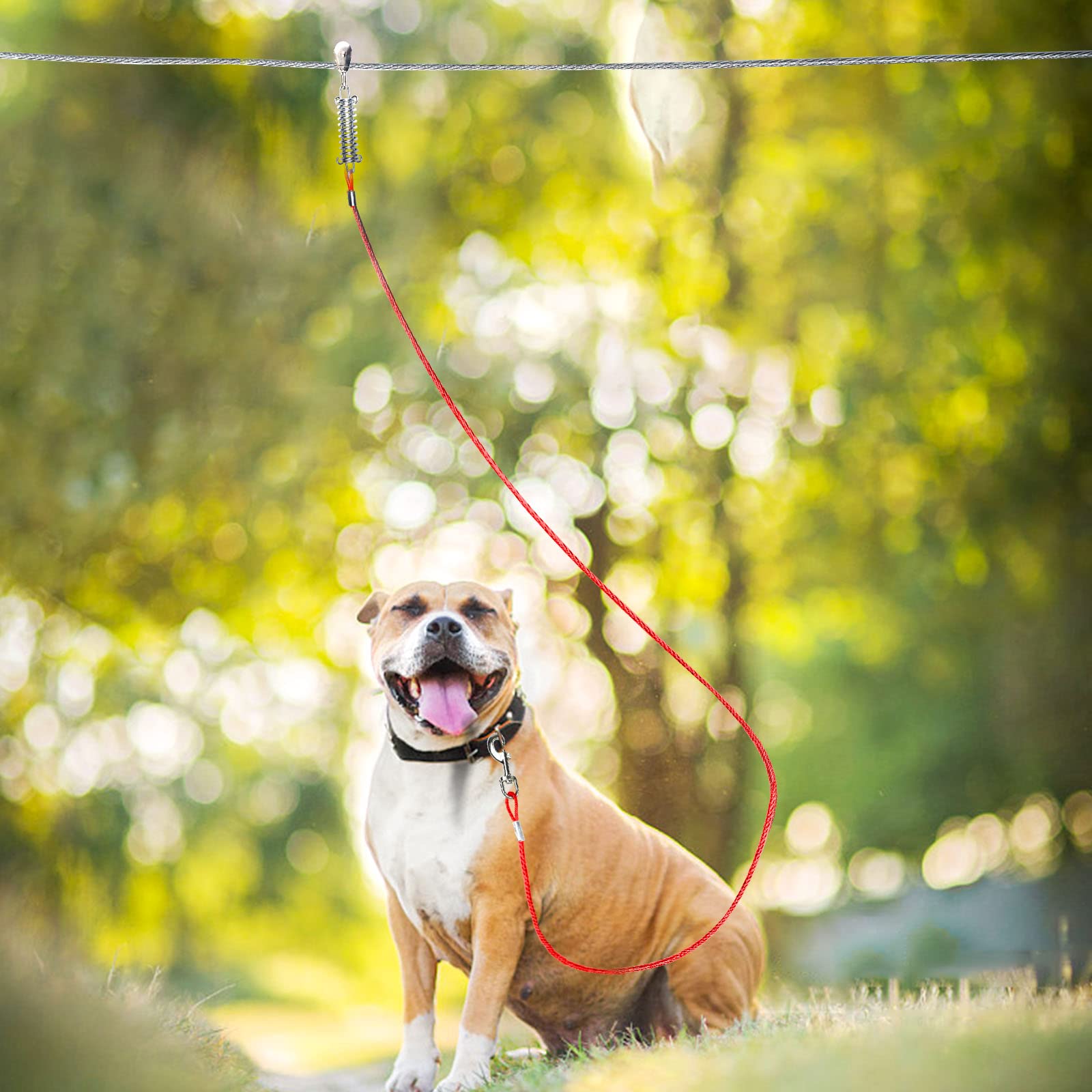 Dog Tie Out Runner For Yard,Trolley System For Large Dogs,Heavy Duty Dog Run Cable 100Ft With 10Ft Pulley Runner Line For Dogs Up To 125Lbs,Yard Or Camping