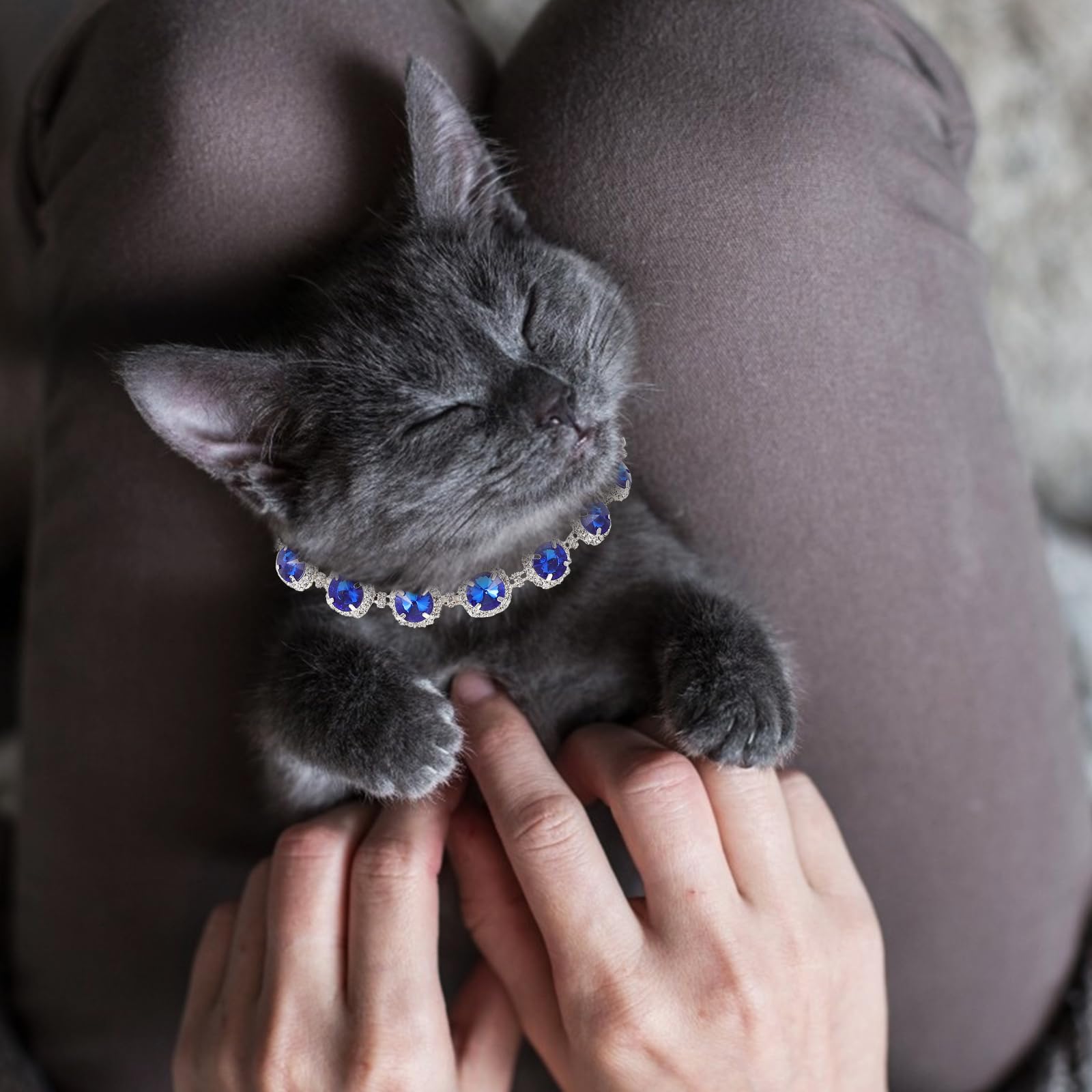 Dog Necklace Pearl Necklace Puppies Adjustable Bling Pet Collar Rhinestones Charm Dogs Cats Kittens Weddings Birthdays