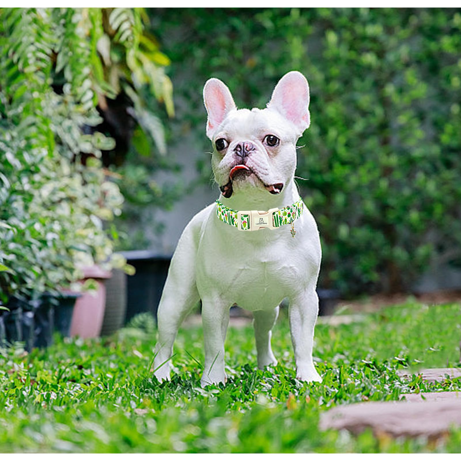 Lionheart Glory Dog Collar Green Cactus Print Collar For Large Dogs Spring Summer Female Or Male Collars Pets Gift Adjustable He