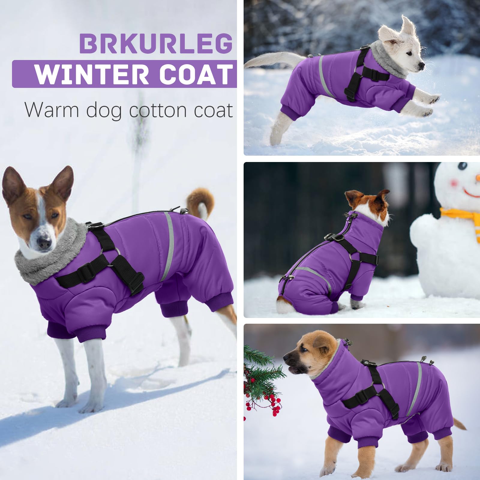 BRKURLEG Purple Dog Winter Coat with Harness, Waterproof, Medium