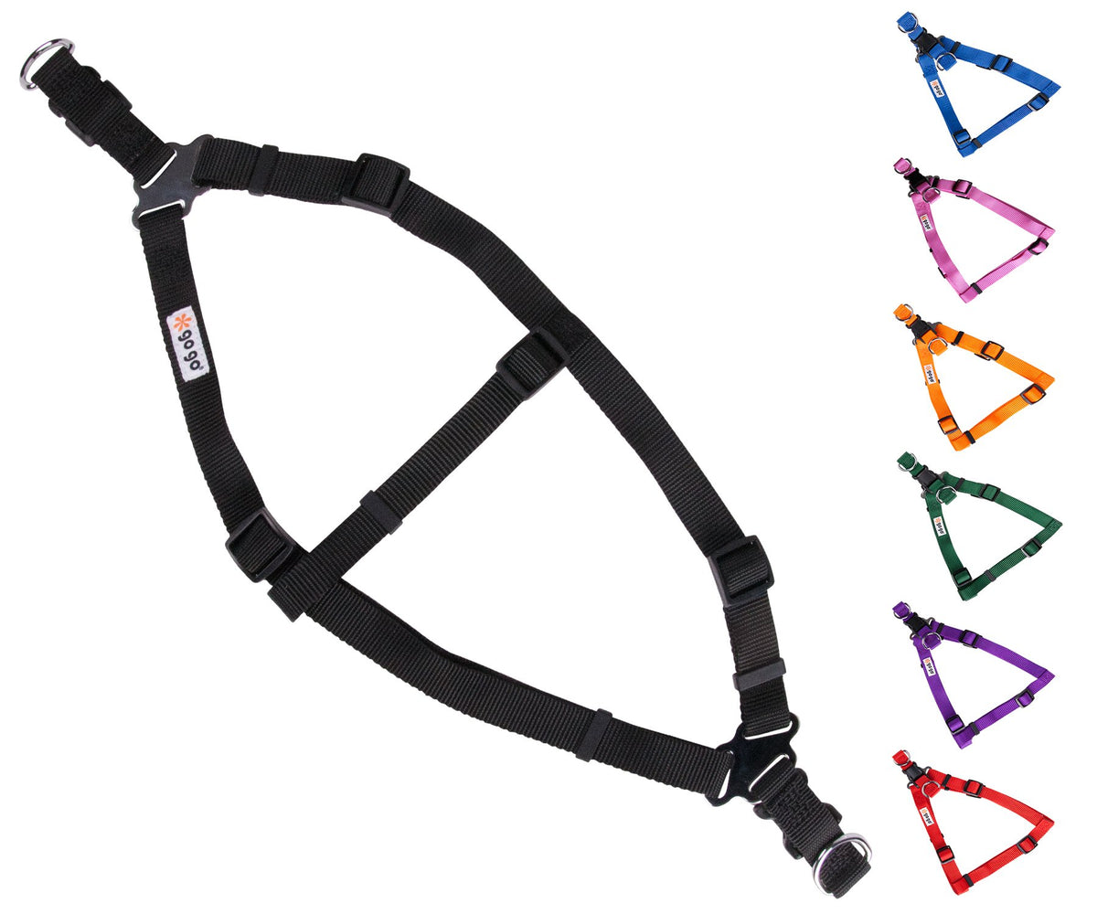 Gogo Pet Products Comfy Nylon 3/8-Inch Adjustable Easy Pet Harness, X-Small, Black