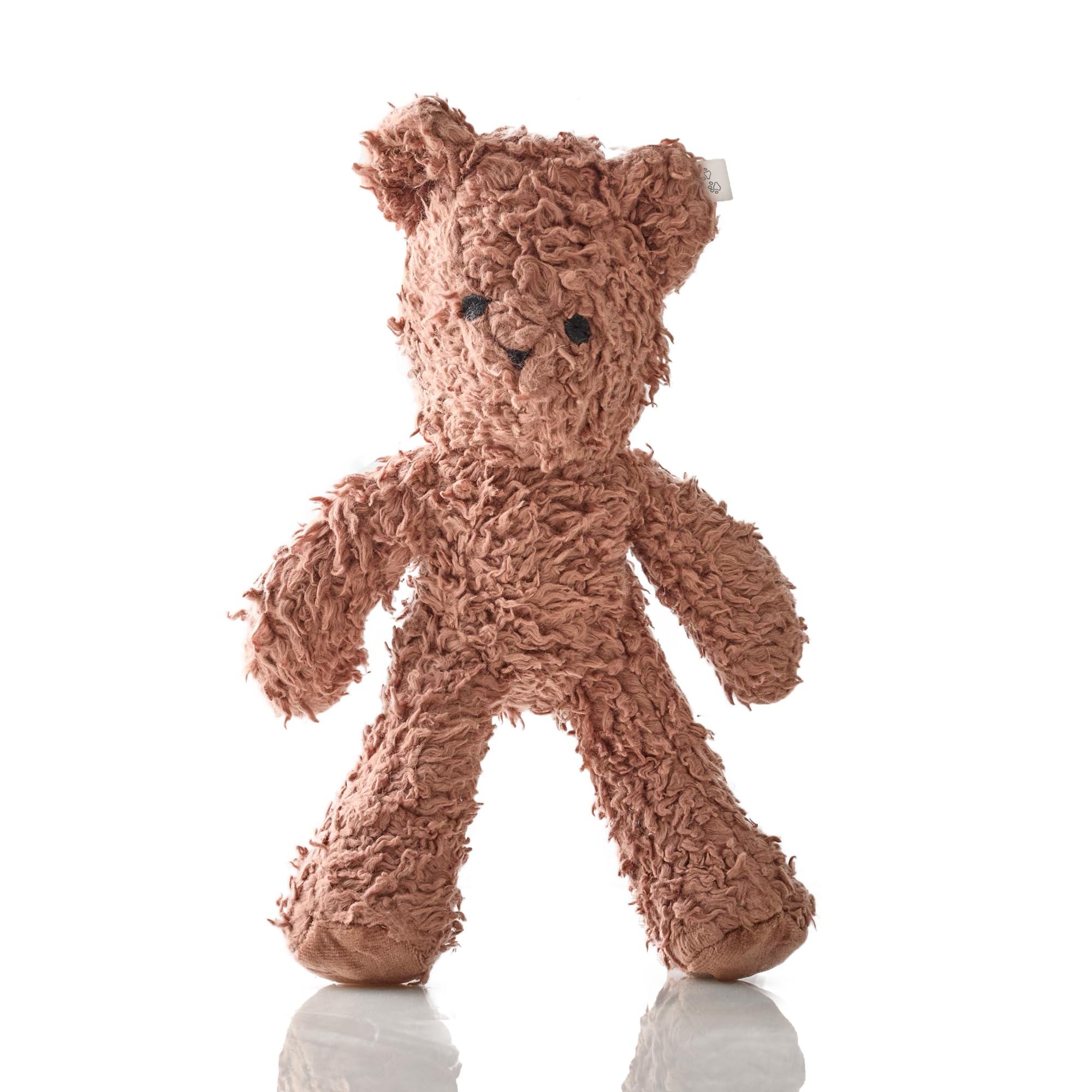 Pet Passion Plush Durable Cotton Dog Toys with Coconut Fill for All Pet Breeds, Bear, One Size