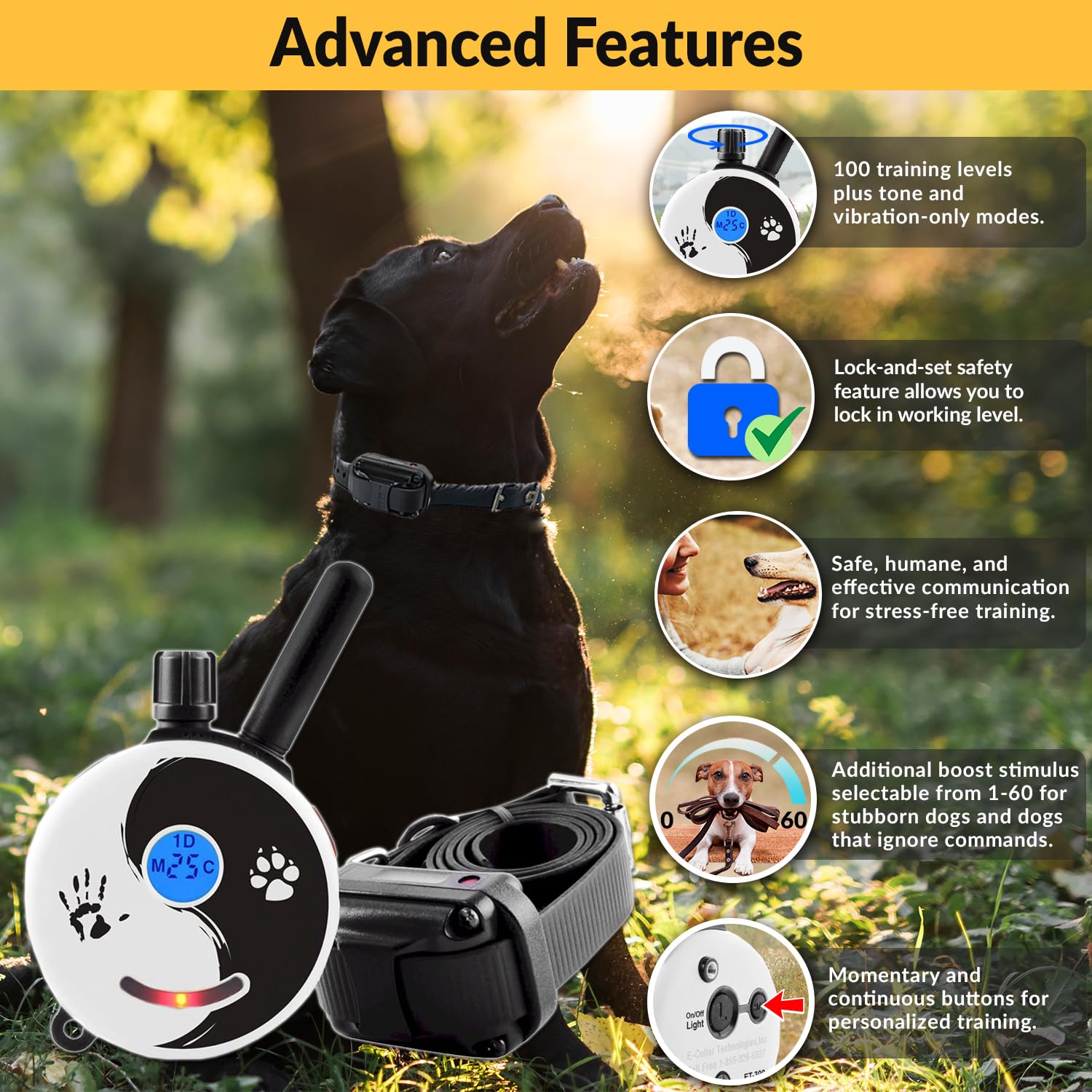 Educator E-Collar Dog Training Collar for Small-Medium Dogs, Rechargeable Remote, 100 Levels, Tone & Light, Zen Color