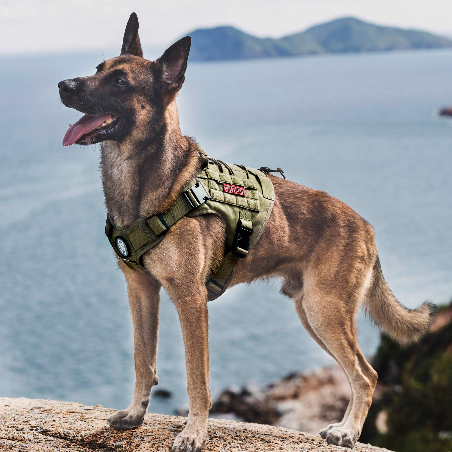 Tactical Dog Harness, Full Body Dog Harness with Handle Heavy Duty Dog Vest for Hiking Training Outdoor Dogs(Ranger Green, Large