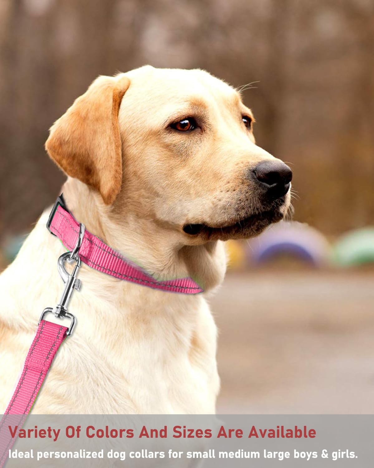 Reflective Dog Collar With Buckle Adjustable Safety Nylon Collars For Small Medium Large Dogs, Light Pink L