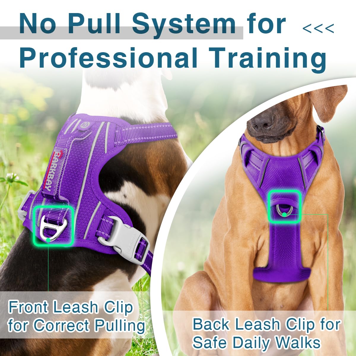Barkbay Dog Harness No Pull With Id Tag Pocket - Heavy Duty, Reflective, Easy Control For Large Dogs (Purple,S)