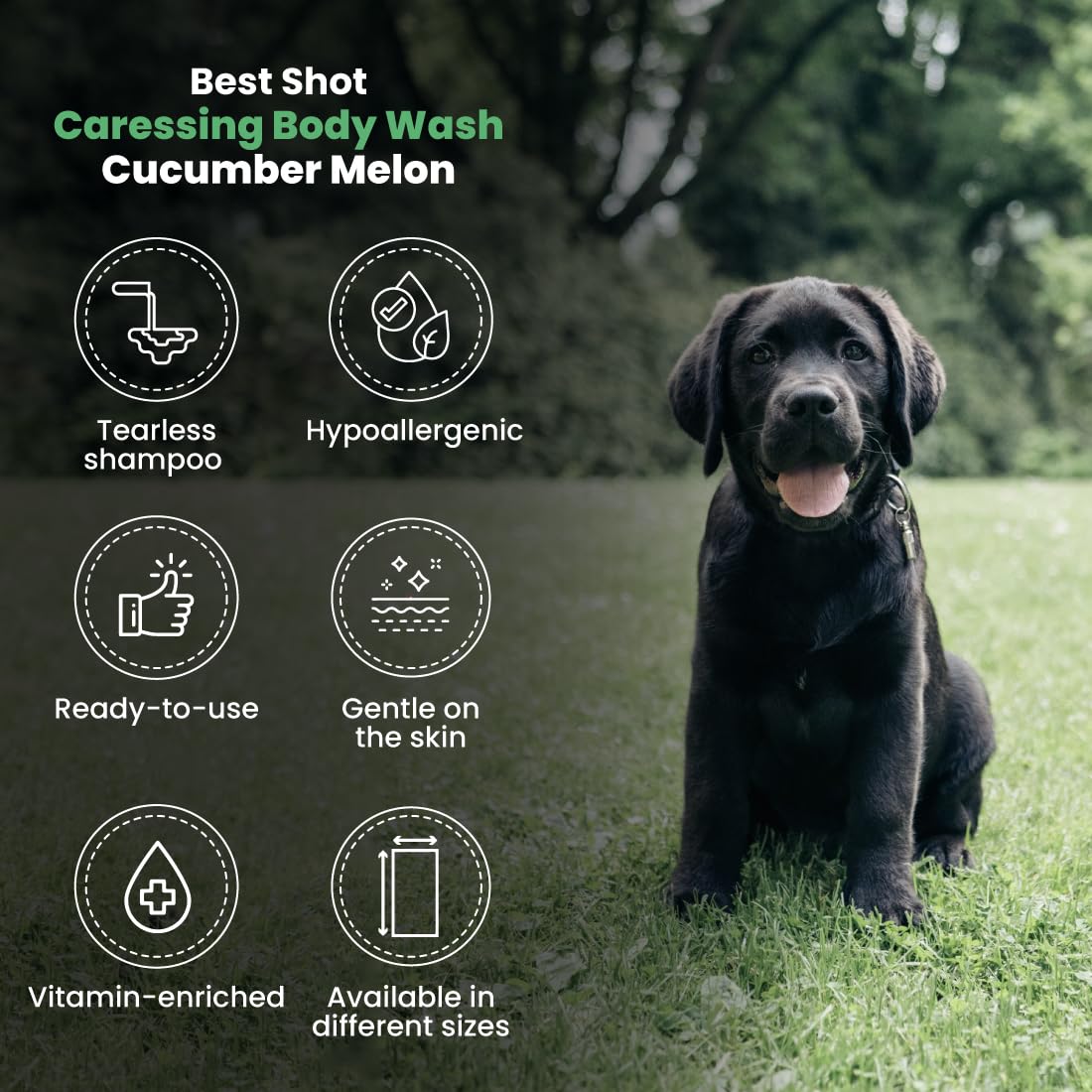 Best Shot Scentament Spa Caressing Body Wash, Cucumber Melon, 1 Gallon