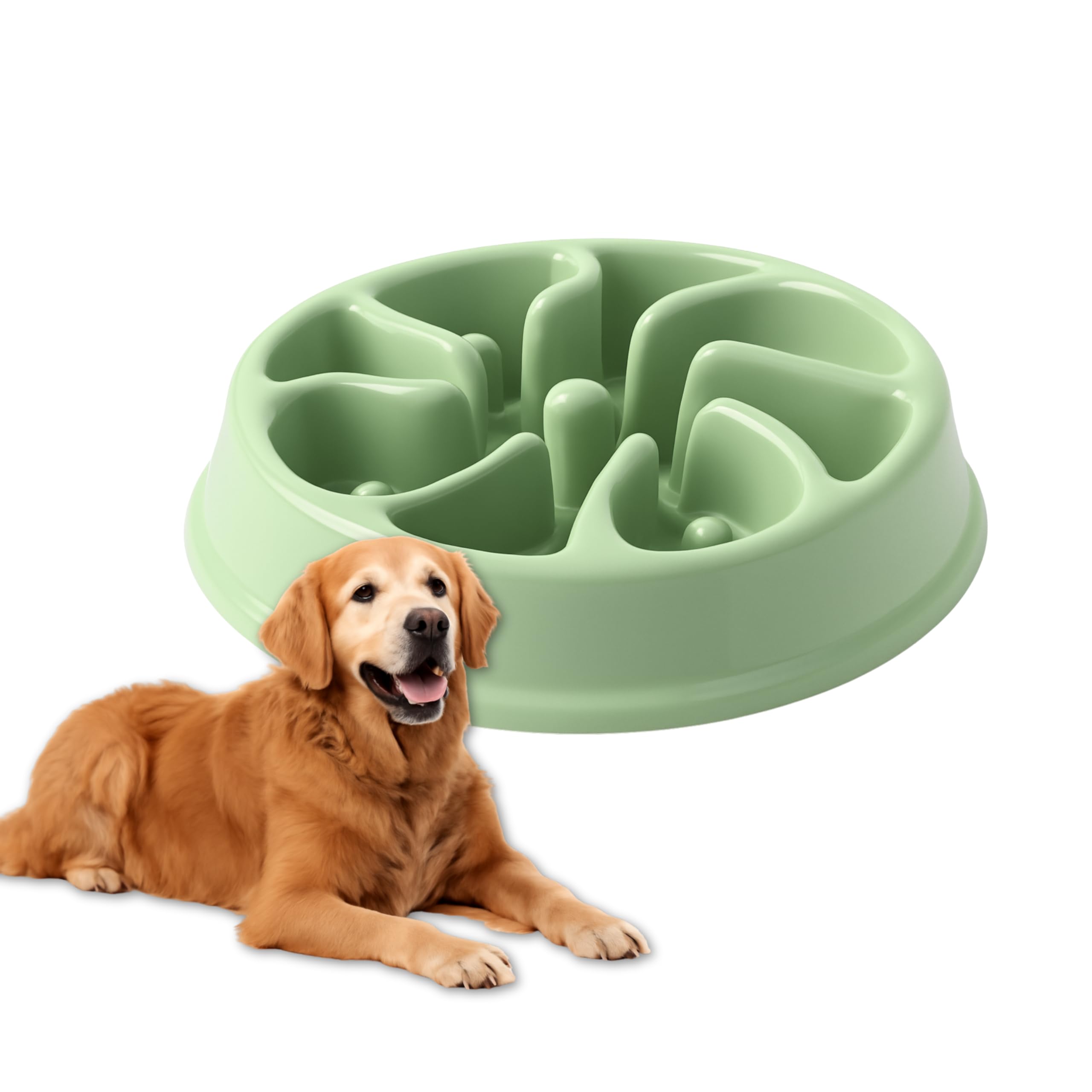 Luxury Paws Slow Feeder Dog & Cat Bowl | AntiGulping NonSlip Plate | Interactive Healthy Eating Dish For Pets | Easy Clean & D