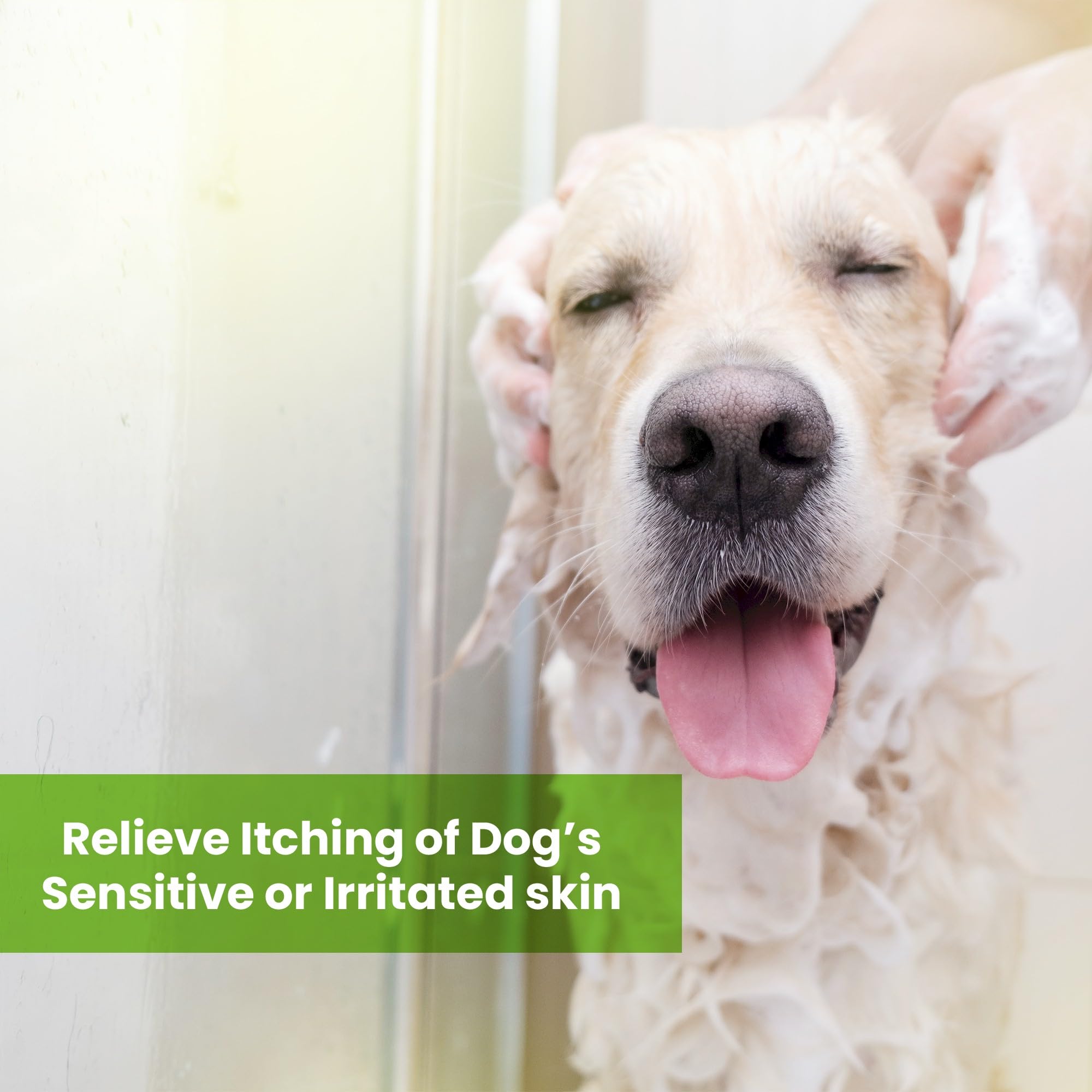 Aroma Paws Dog Shampoo And Conditioner - Tearless Dog Shampoo For Cleansing, Grooming, And Conditioning Sensitive Skin - Moistur